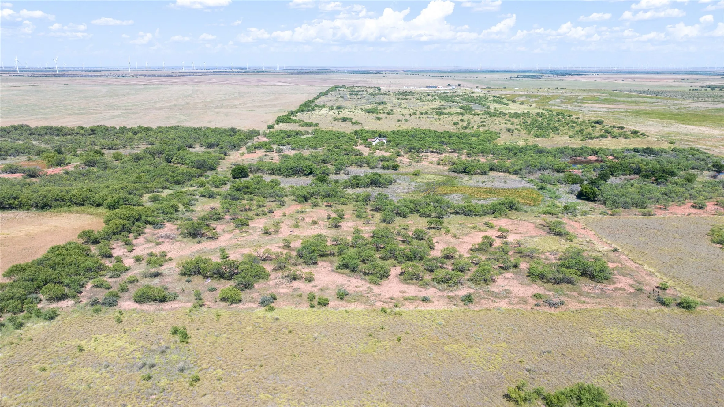 Unimproved Land For Sale in Haskell County , 104.3 Acres CR 247, Weinert, Texas 76388, 0, 0, Garage spaces, 0 Sqft, built in 0, mls#21327446, Real Estate Agent in Weinert, Homes For Sale in Haskell county, Homes For Sale in Weinert, Realtor in Weinert Texas, Real Estate Brokerage Independent Realty Texas, Luminita Cordes Realtor