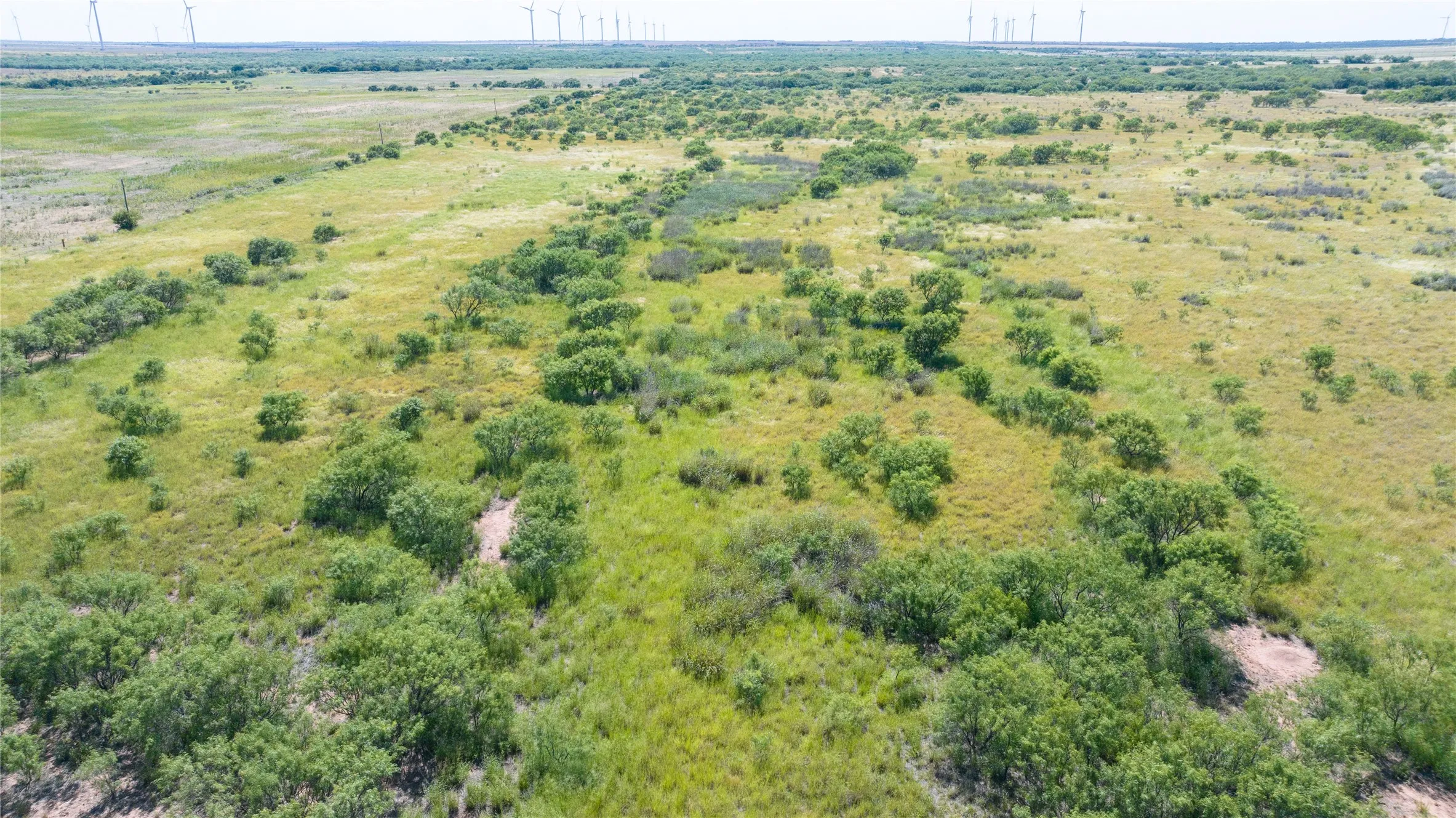 Unimproved Land For Sale in Haskell County , 104.3 Acres CR 247, Weinert, Texas 76388, 0, 0, Garage spaces, 0 Sqft, built in 0, mls#21327446, Real Estate Agent in Weinert, Homes For Sale in Haskell county, Homes For Sale in Weinert, Realtor in Weinert Texas, Real Estate Brokerage Independent Realty Texas, Luminita Cordes Realtor