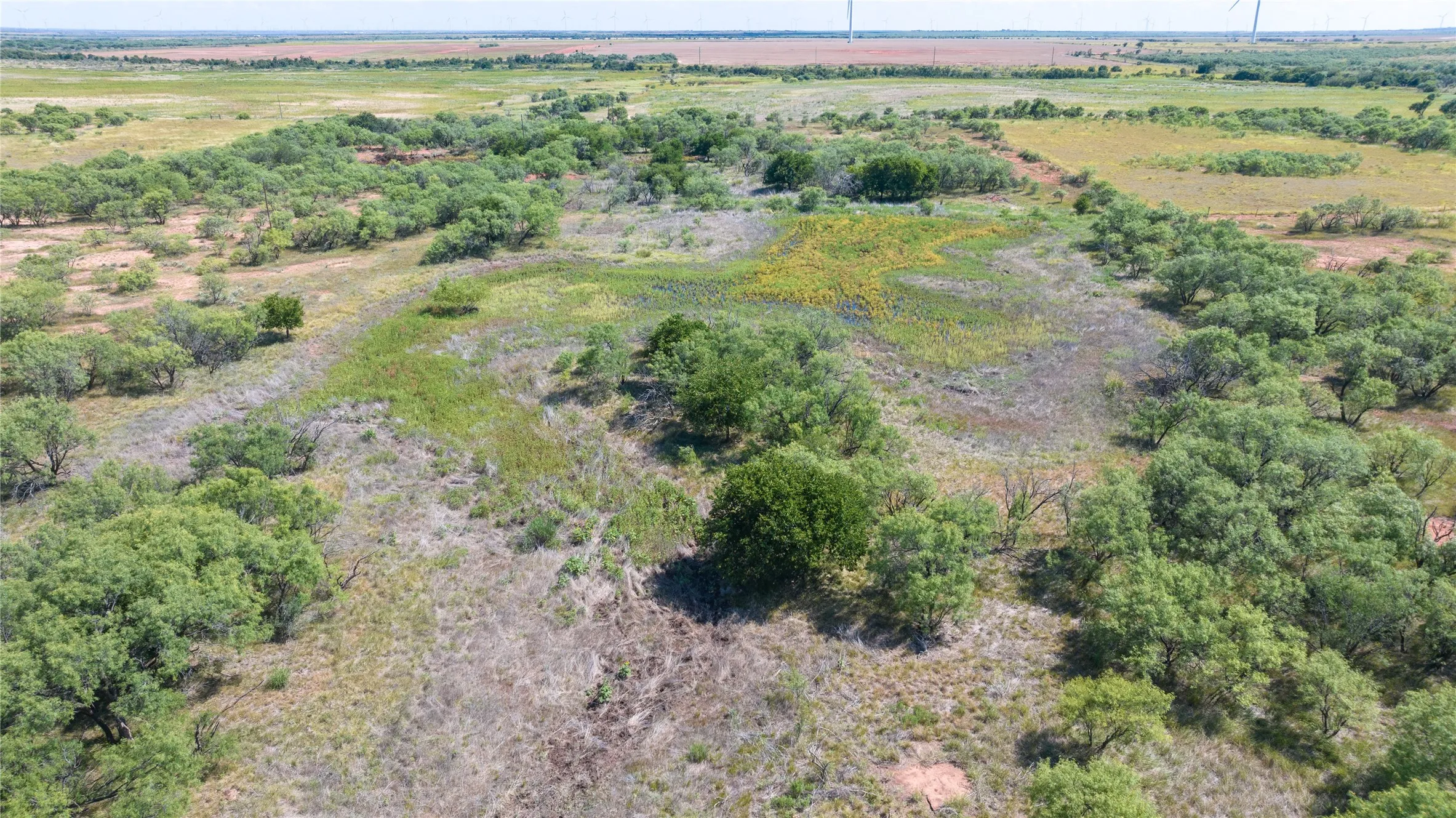 Unimproved Land For Sale in Haskell County , 104.3 Acres CR 247, Weinert, Texas 76388, 0, 0, Garage spaces, 0 Sqft, built in 0, mls#21327446, Real Estate Agent in Weinert, Homes For Sale in Haskell county, Homes For Sale in Weinert, Realtor in Weinert Texas, Real Estate Brokerage Independent Realty Texas, Luminita Cordes Realtor