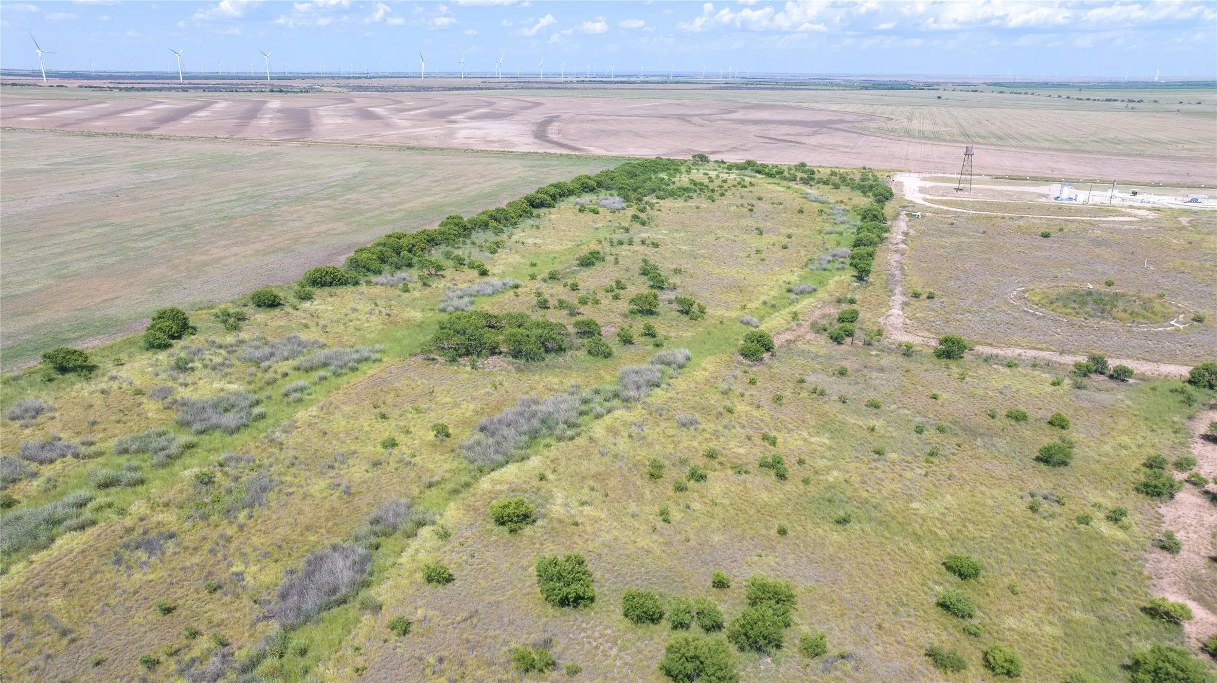 Unimproved Land For Sale in Haskell County , 104.3 Acres CR 247, Weinert, Texas 76388, 0, 0, Garage spaces, 0 Sqft, built in 0, mls#21327446, Real Estate Agent in Weinert, Homes For Sale in Haskell county, Homes For Sale in Weinert, Realtor in Weinert Texas, Real Estate Brokerage Independent Realty Texas, Luminita Cordes Realtor