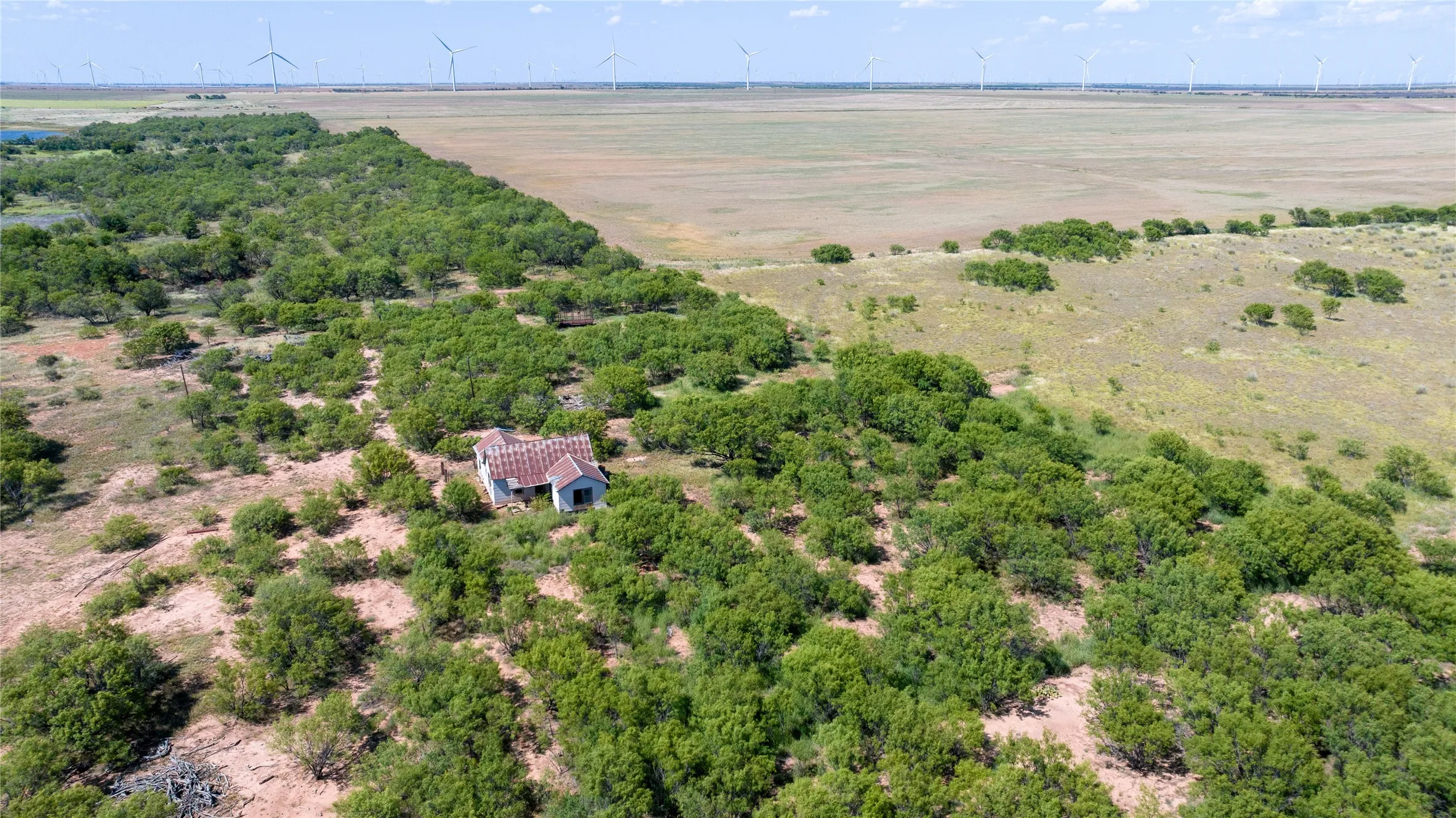 Unimproved Land For Sale in Haskell County , 104.3 Acres CR 247, Weinert, Texas 76388, 0, 0, Garage spaces, 0 Sqft, built in 0, mls#21327446, Real Estate Agent in Weinert, Homes For Sale in Haskell county, Homes For Sale in Weinert, Realtor in Weinert Texas, Real Estate Brokerage Independent Realty Texas, Luminita Cordes Realtor