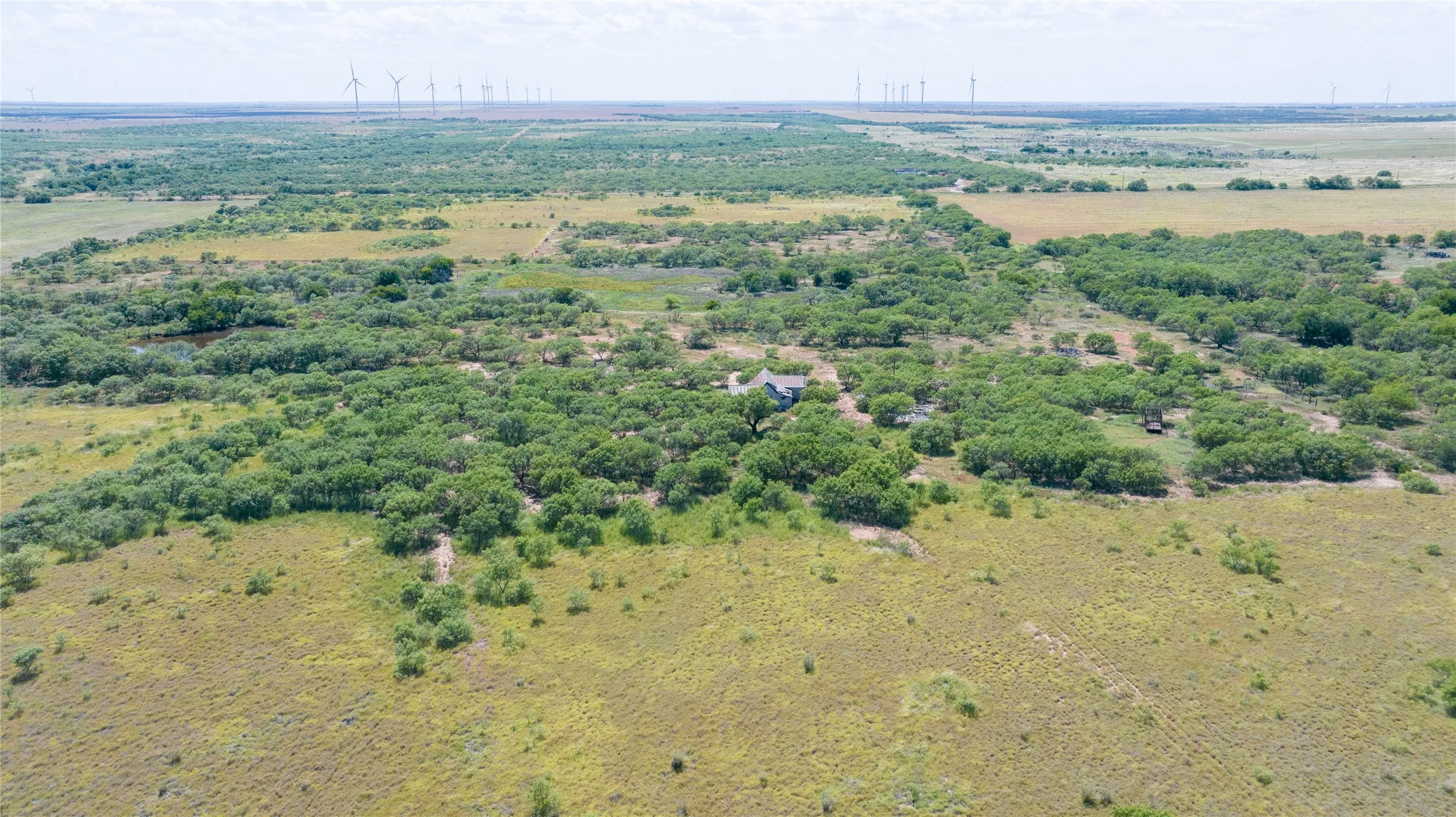 Unimproved Land For Sale in Haskell County , 104.3 Acres CR 247, Weinert, Texas 76388, 0, 0, Garage spaces, 0 Sqft, built in 0, mls#21327446, Real Estate Agent in Weinert, Homes For Sale in Haskell county, Homes For Sale in Weinert, Realtor in Weinert Texas, Real Estate Brokerage Independent Realty Texas, Luminita Cordes Realtor