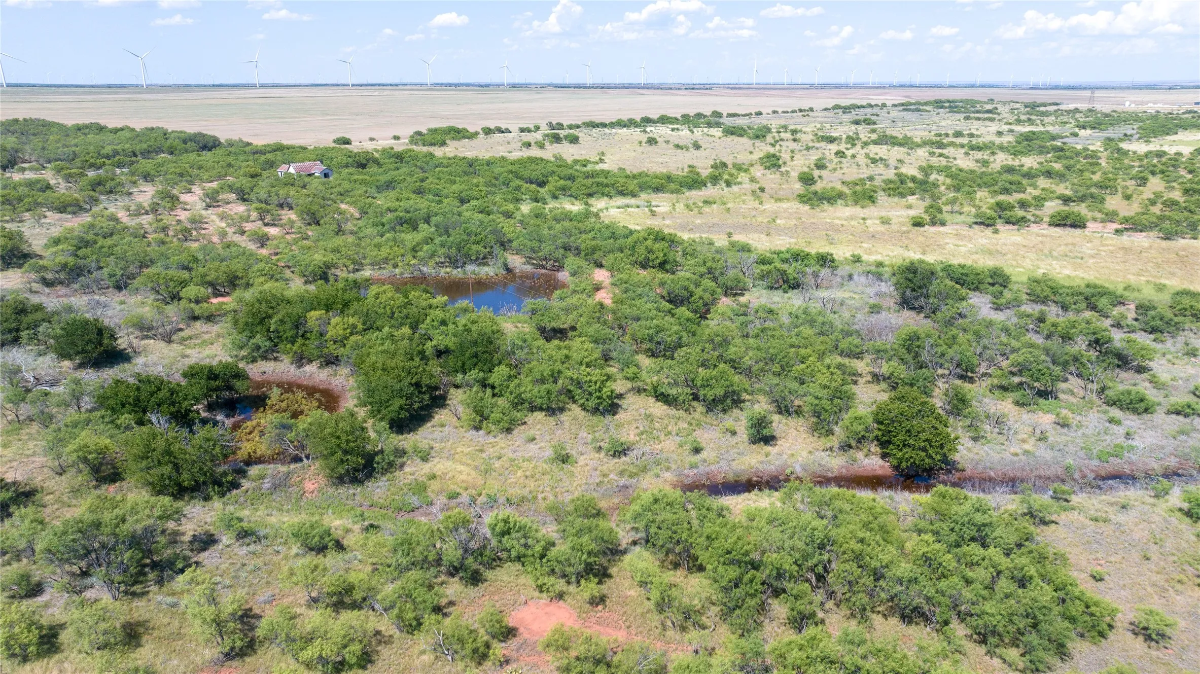 Unimproved Land For Sale in Haskell County , 104.3 Acres CR 247, Weinert, Texas 76388, 0, 0, Garage spaces, 0 Sqft, built in 0, mls#21327446, Real Estate Agent in Weinert, Homes For Sale in Haskell county, Homes For Sale in Weinert, Realtor in Weinert Texas, Real Estate Brokerage Independent Realty Texas, Luminita Cordes Realtor