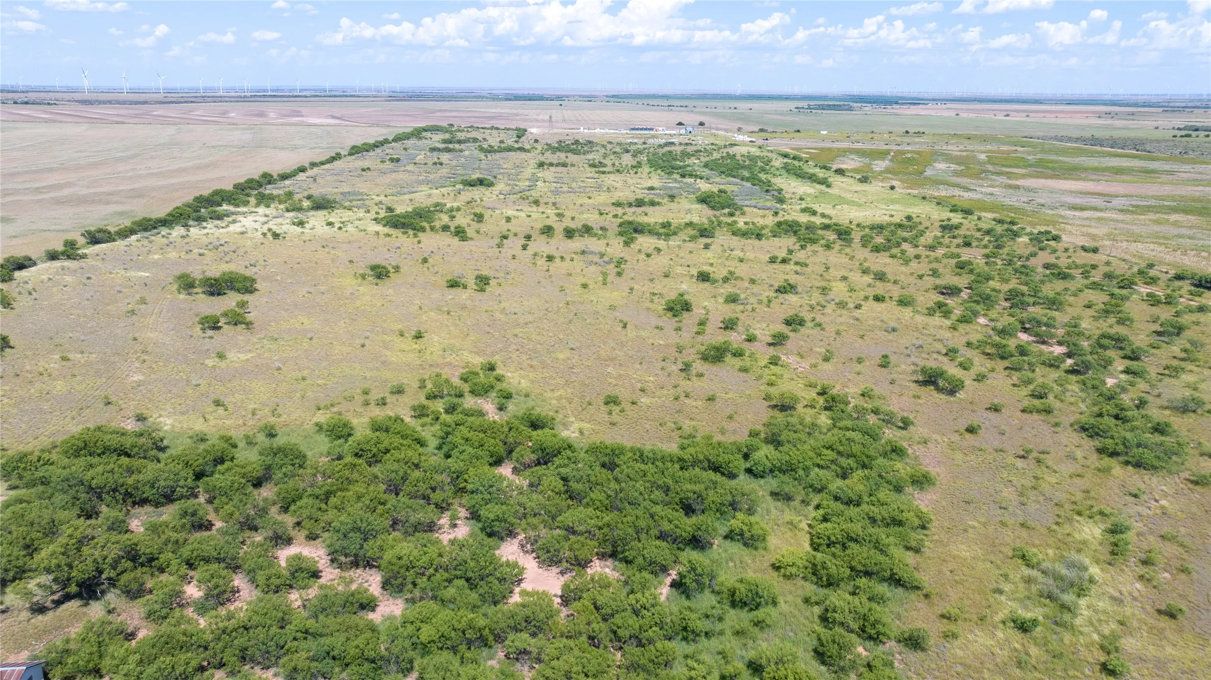 Unimproved Land For Sale in Haskell County , 104.3 Acres CR 247, Weinert, Texas 76388, 0, 0, Garage spaces, 0 Sqft, built in 0, mls#21327446, Real Estate Agent in Weinert, Homes For Sale in Haskell county, Homes For Sale in Weinert, Realtor in Weinert Texas, Real Estate Brokerage Independent Realty Texas, Luminita Cordes Realtor