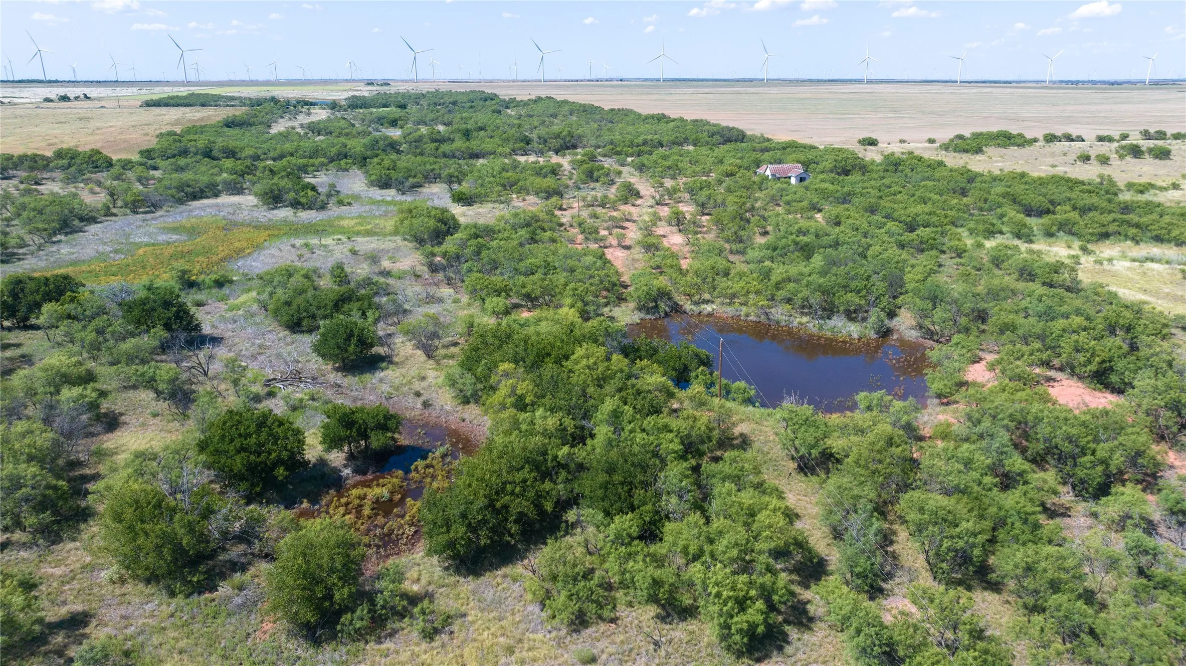 Unimproved Land For Sale in Haskell County , 104.3 Acres CR 247, Weinert, Texas 76388, 0, 0, Garage spaces, 0 Sqft, built in 0, mls#21327446, Real Estate Agent in Weinert, Homes For Sale in Haskell county, Homes For Sale in Weinert, Realtor in Weinert Texas, Real Estate Brokerage Independent Realty Texas, Luminita Cordes Realtor