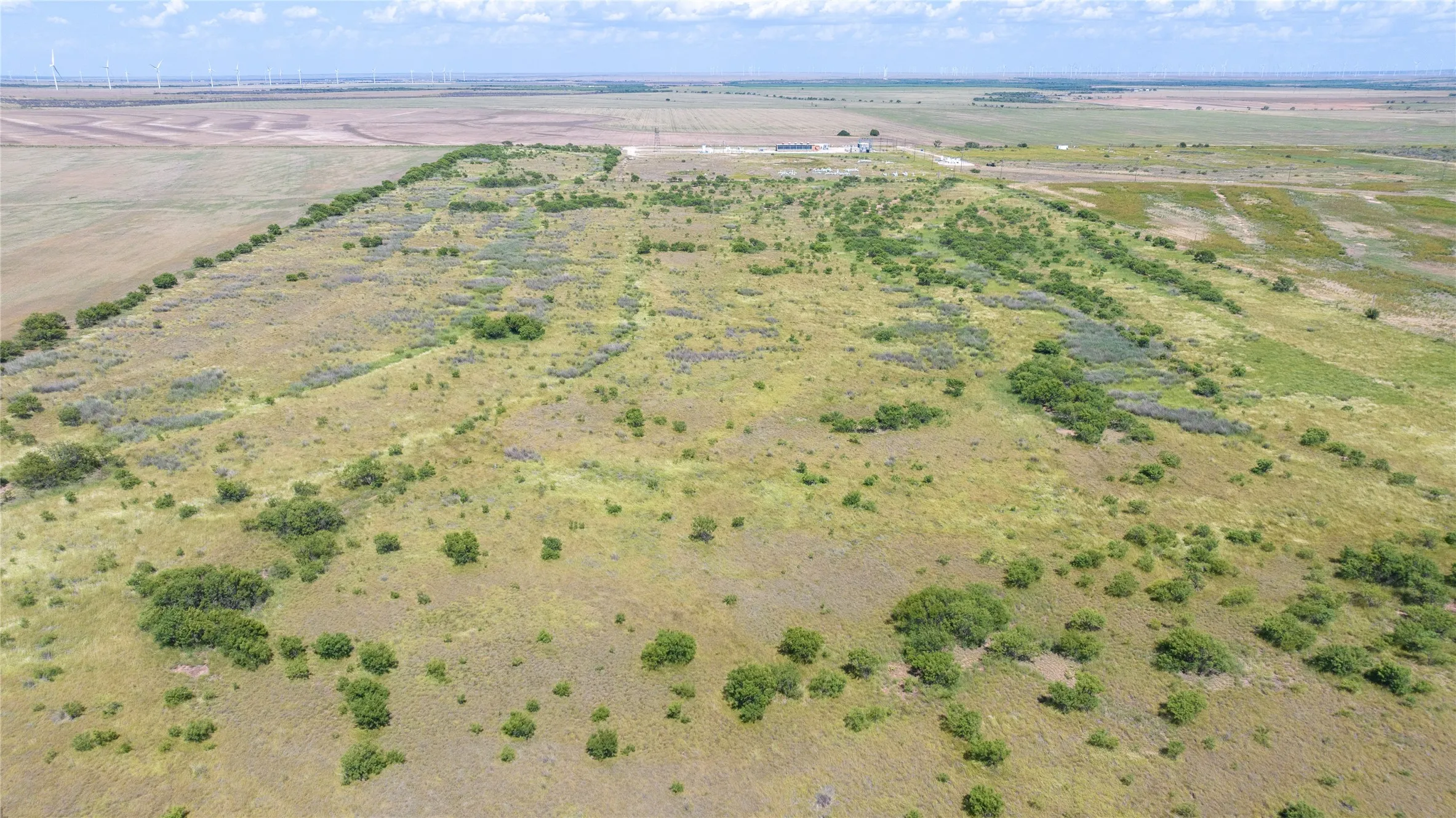 Unimproved Land For Sale in Haskell County , 104.3 Acres CR 247, Weinert, Texas 76388, 0, 0, Garage spaces, 0 Sqft, built in 0, mls#21327446, Real Estate Agent in Weinert, Homes For Sale in Haskell county, Homes For Sale in Weinert, Realtor in Weinert Texas, Real Estate Brokerage Independent Realty Texas, Luminita Cordes Realtor