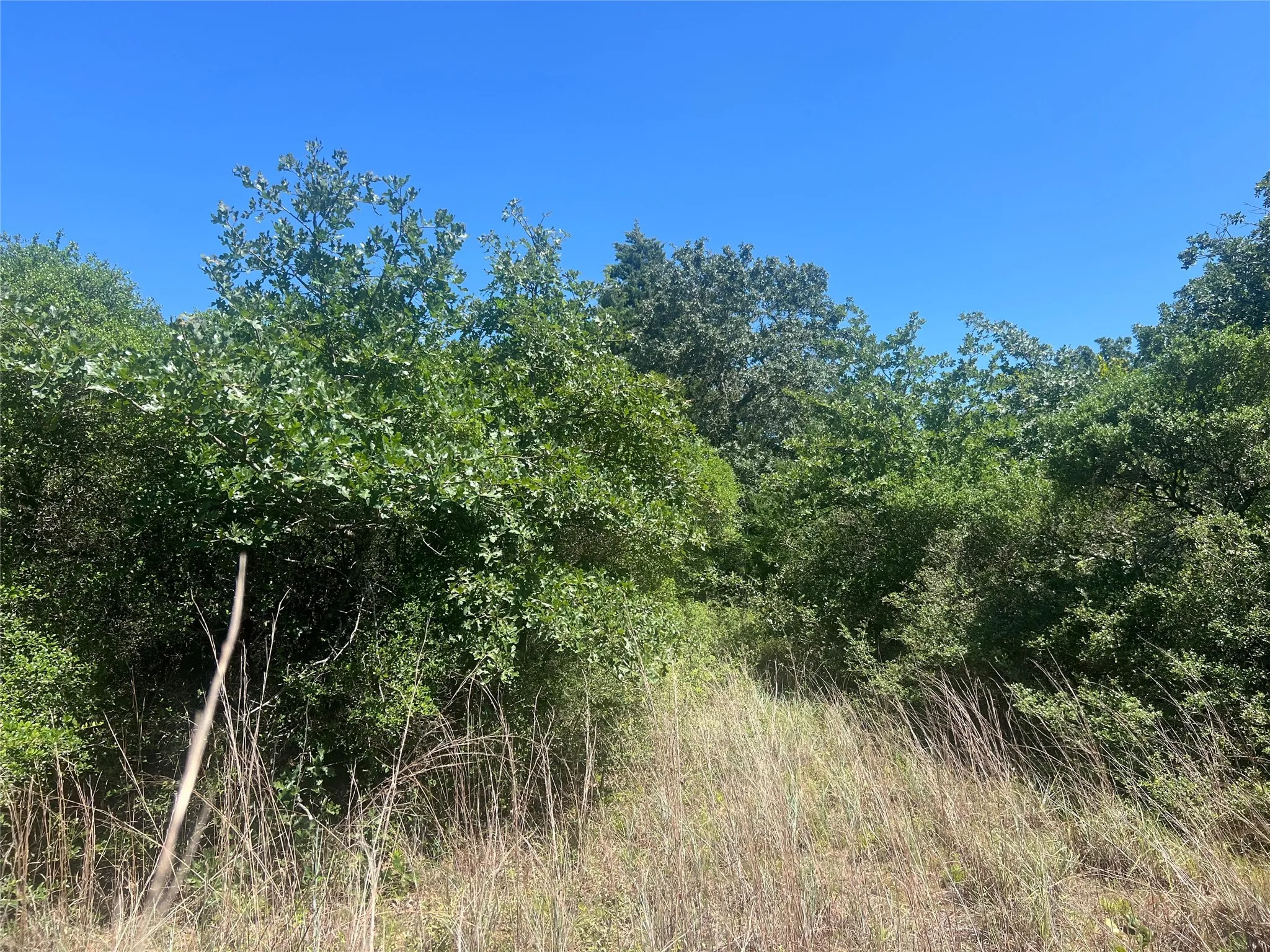 Unimproved Land For Sale in Leon County , 4500 PR, Normangee, Texas 77871, 0, 0, Garage spaces, 0 Sqft, built in 0, Price $395,000, mls#21327539, Real Estate Agent in Normangee, Homes For Sale in Leon county, Homes For Sale in Normangee, Realtor in Normangee Texas, Real Estate Brokerage Independent Realty Texas, Luminita Cordes Realtor