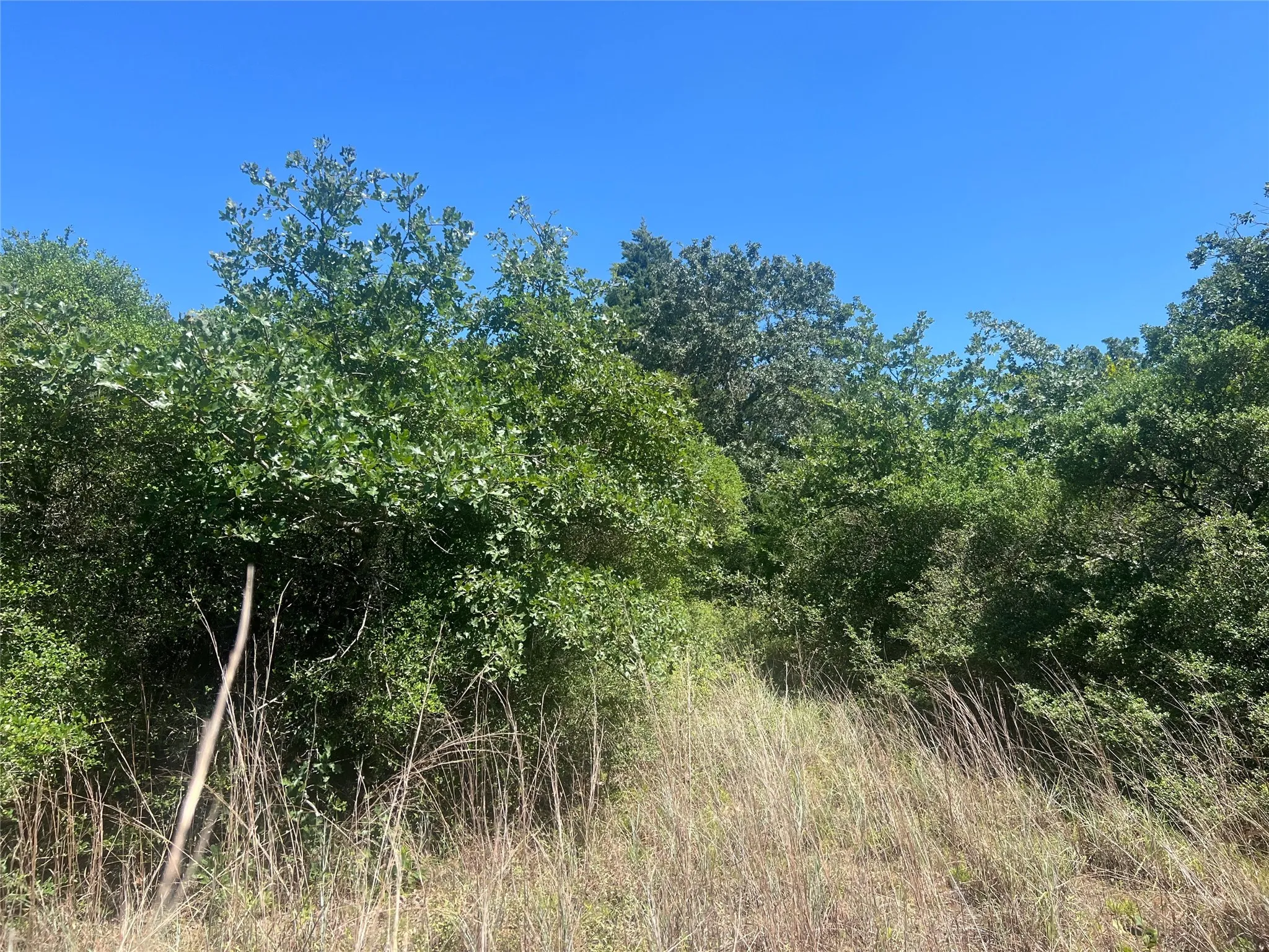 Unimproved Land For Sale in Leon County , 4500 PR, Normangee, Texas 77871, 0, 0, Garage spaces, 0 Sqft, built in 0, Price $395,000, mls#21327539, Real Estate Agent in Normangee, Homes For Sale in Leon county, Homes For Sale in Normangee, Realtor in Normangee Texas, Real Estate Brokerage Independent Realty Texas, Luminita Cordes Realtor