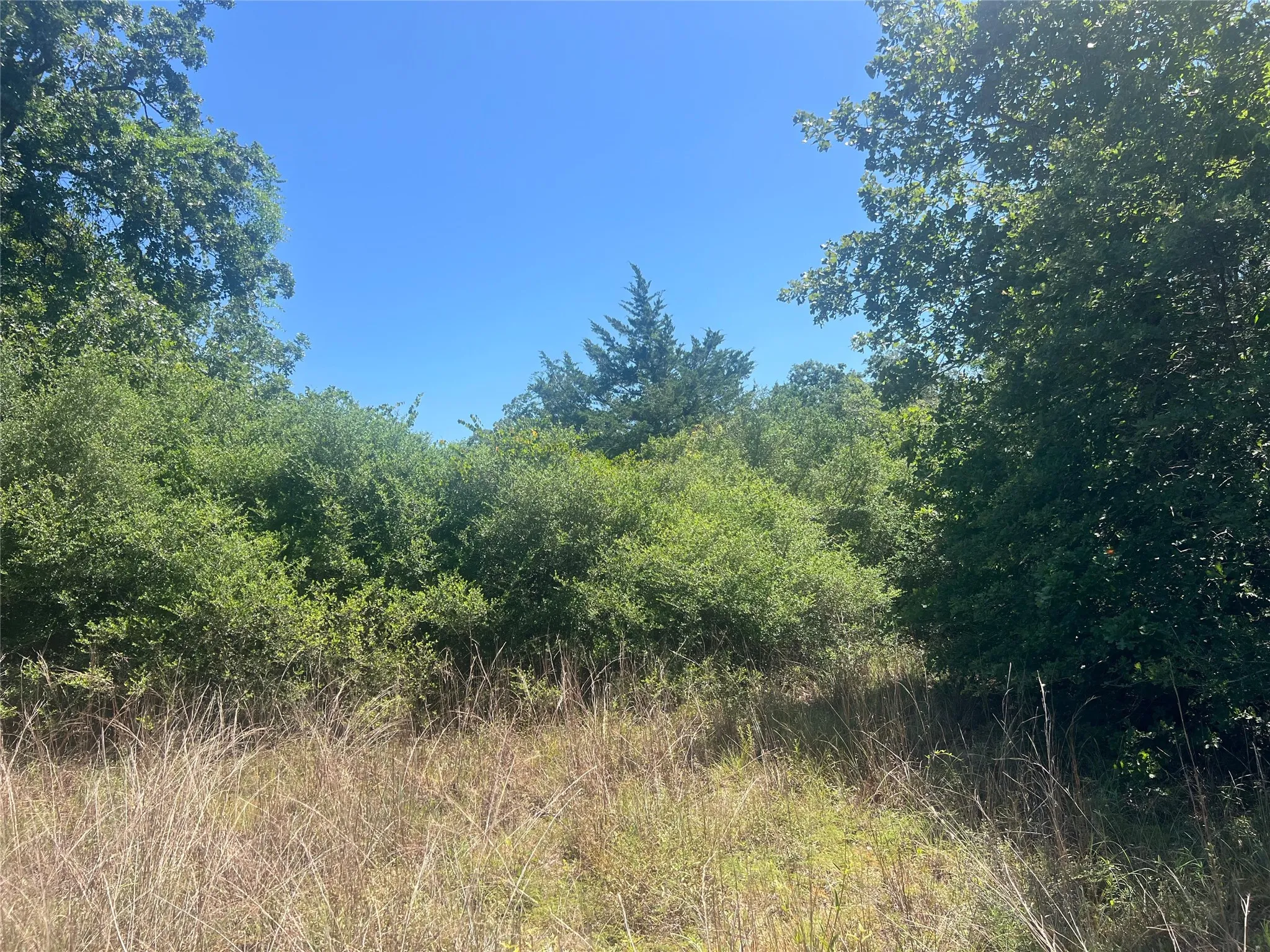 Unimproved Land For Sale in Leon County , 4500 PR, Normangee, Texas 77871, 0, 0, Garage spaces, 0 Sqft, built in 0, Price $395,000, mls#21327539, Real Estate Agent in Normangee, Homes For Sale in Leon county, Homes For Sale in Normangee, Realtor in Normangee Texas, Real Estate Brokerage Independent Realty Texas, Luminita Cordes Realtor