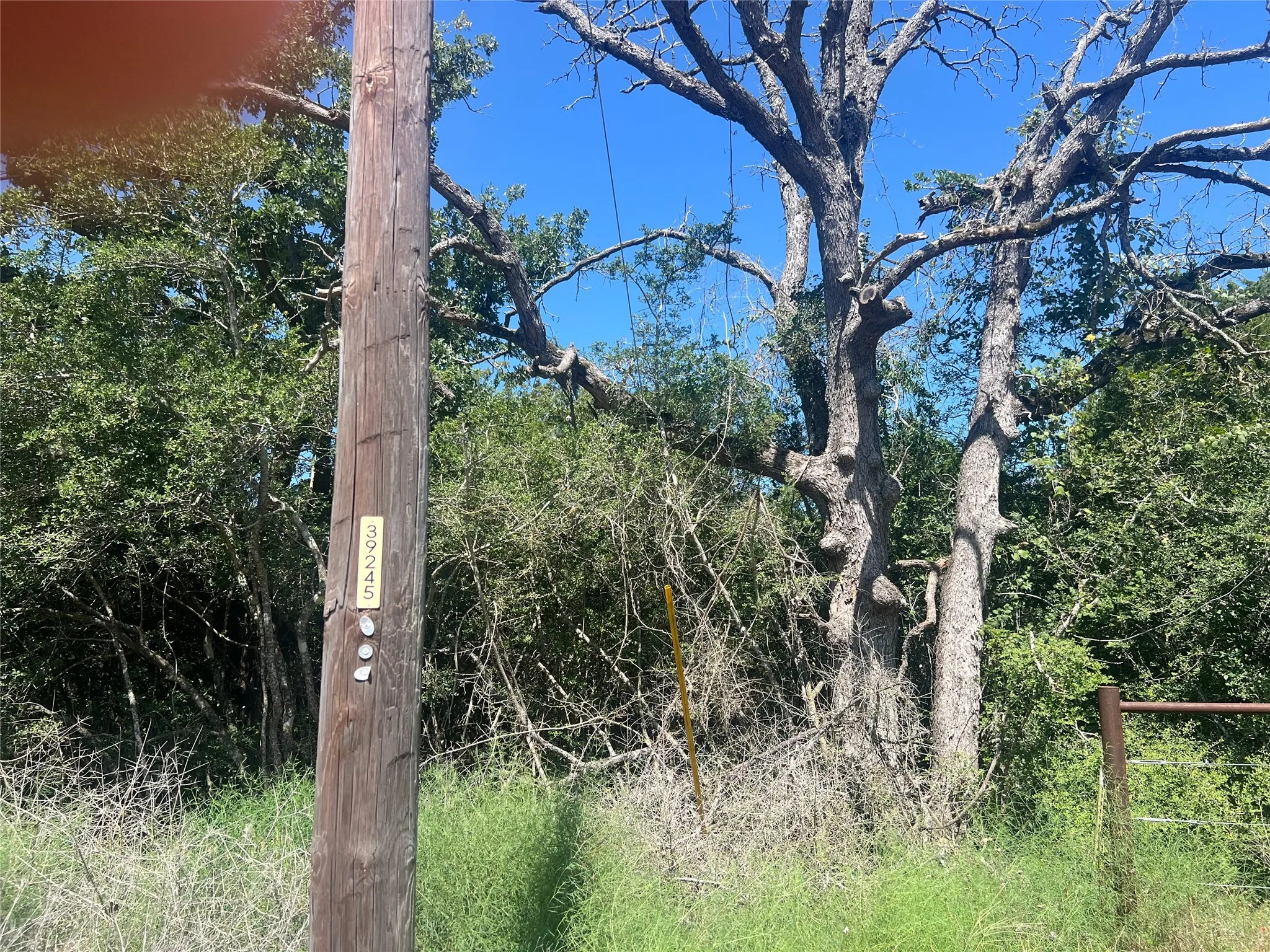 Unimproved Land For Sale in Leon County , 4500 PR, Normangee, Texas 77871, 0, 0, Garage spaces, 0 Sqft, built in 0, Price $395,000, mls#21327539, Real Estate Agent in Normangee, Homes For Sale in Leon county, Homes For Sale in Normangee, Realtor in Normangee Texas, Real Estate Brokerage Independent Realty Texas, Luminita Cordes Realtor