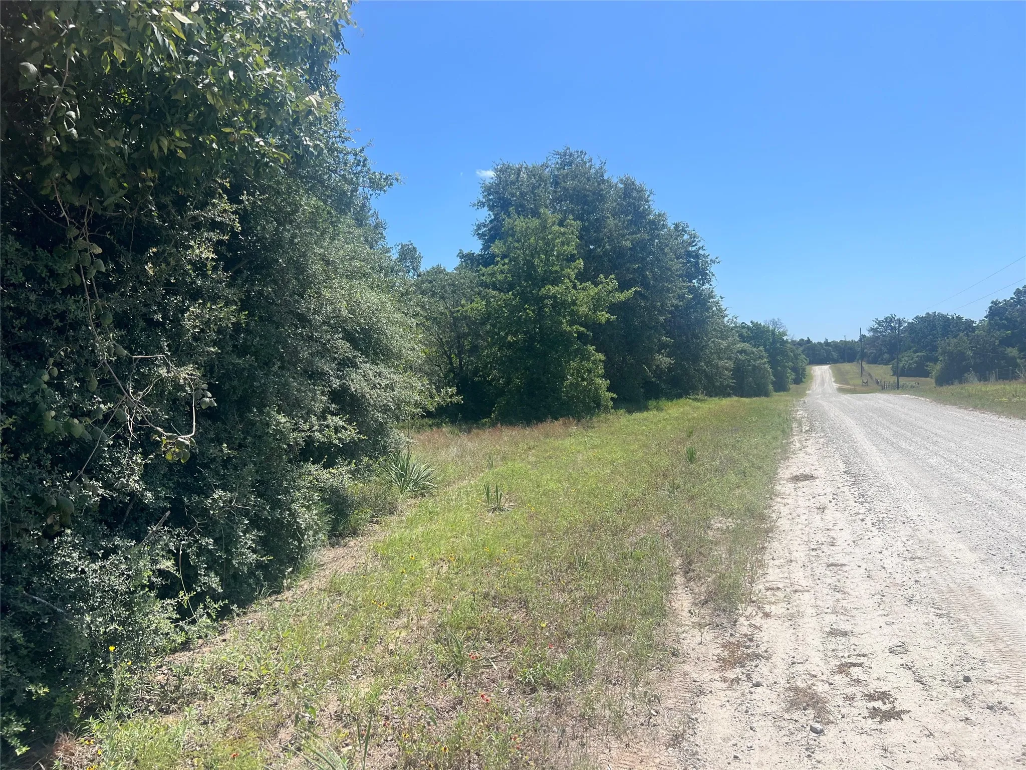 Unimproved Land For Sale in Leon County , 4500 PR, Normangee, Texas 77871, 0, 0, Garage spaces, 0 Sqft, built in 0, Price $395,000, mls#21327539, Real Estate Agent in Normangee, Homes For Sale in Leon county, Homes For Sale in Normangee, Realtor in Normangee Texas, Real Estate Brokerage Independent Realty Texas, Luminita Cordes Realtor