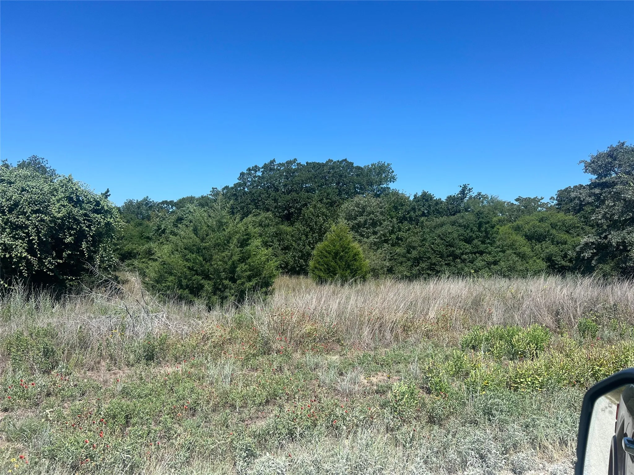Unimproved Land For Sale in Leon County , 4500 PR, Normangee, Texas 77871, 0, 0, Garage spaces, 0 Sqft, built in 0, Price $395,000, mls#21327539, Real Estate Agent in Normangee, Homes For Sale in Leon county, Homes For Sale in Normangee, Realtor in Normangee Texas, Real Estate Brokerage Independent Realty Texas, Luminita Cordes Realtor