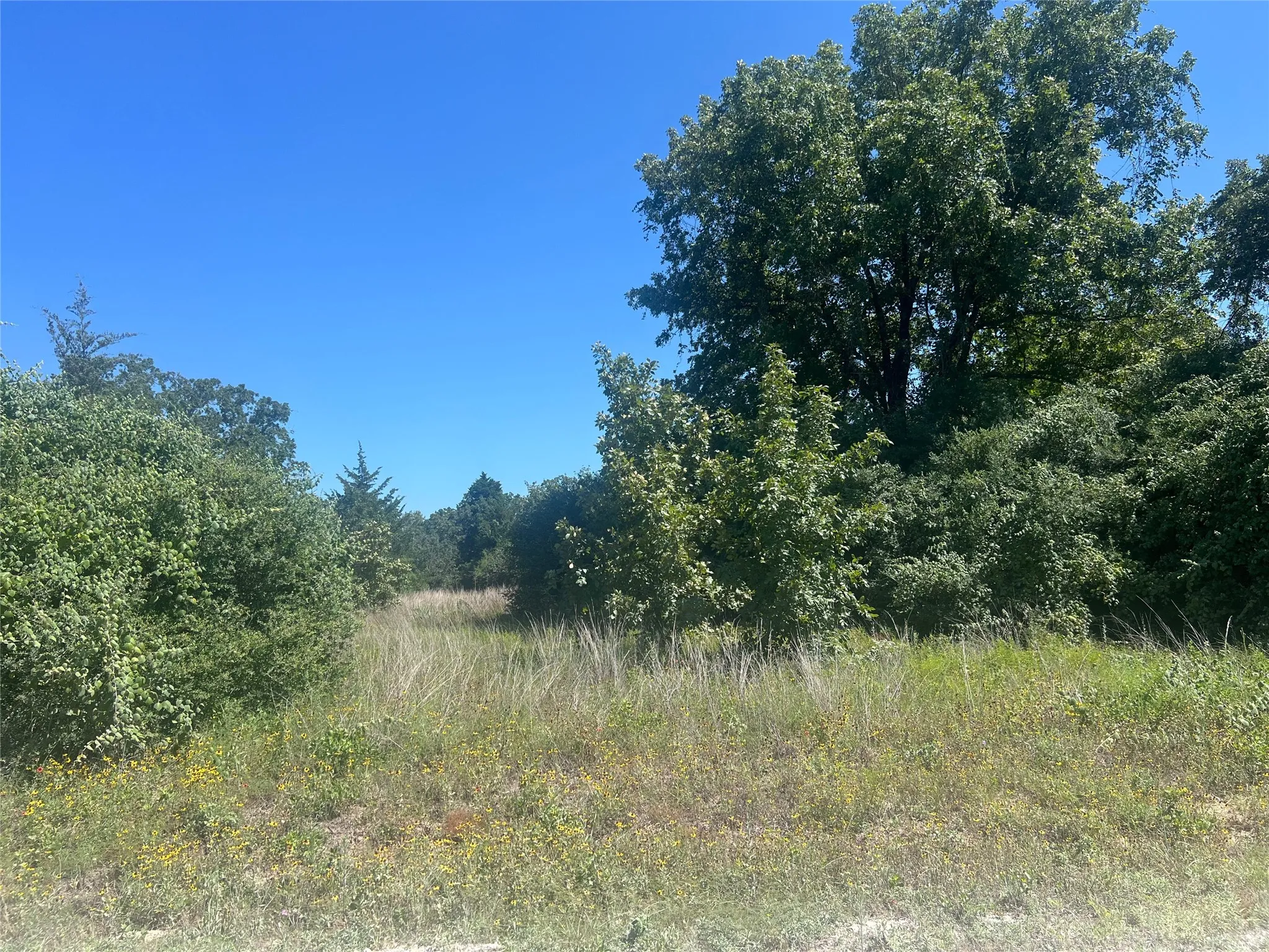 Unimproved Land For Sale in Leon County , 4500 PR, Normangee, Texas 77871, 0, 0, Garage spaces, 0 Sqft, built in 0, Price $395,000, mls#21327539, Real Estate Agent in Normangee, Homes For Sale in Leon county, Homes For Sale in Normangee, Realtor in Normangee Texas, Real Estate Brokerage Independent Realty Texas, Luminita Cordes Realtor