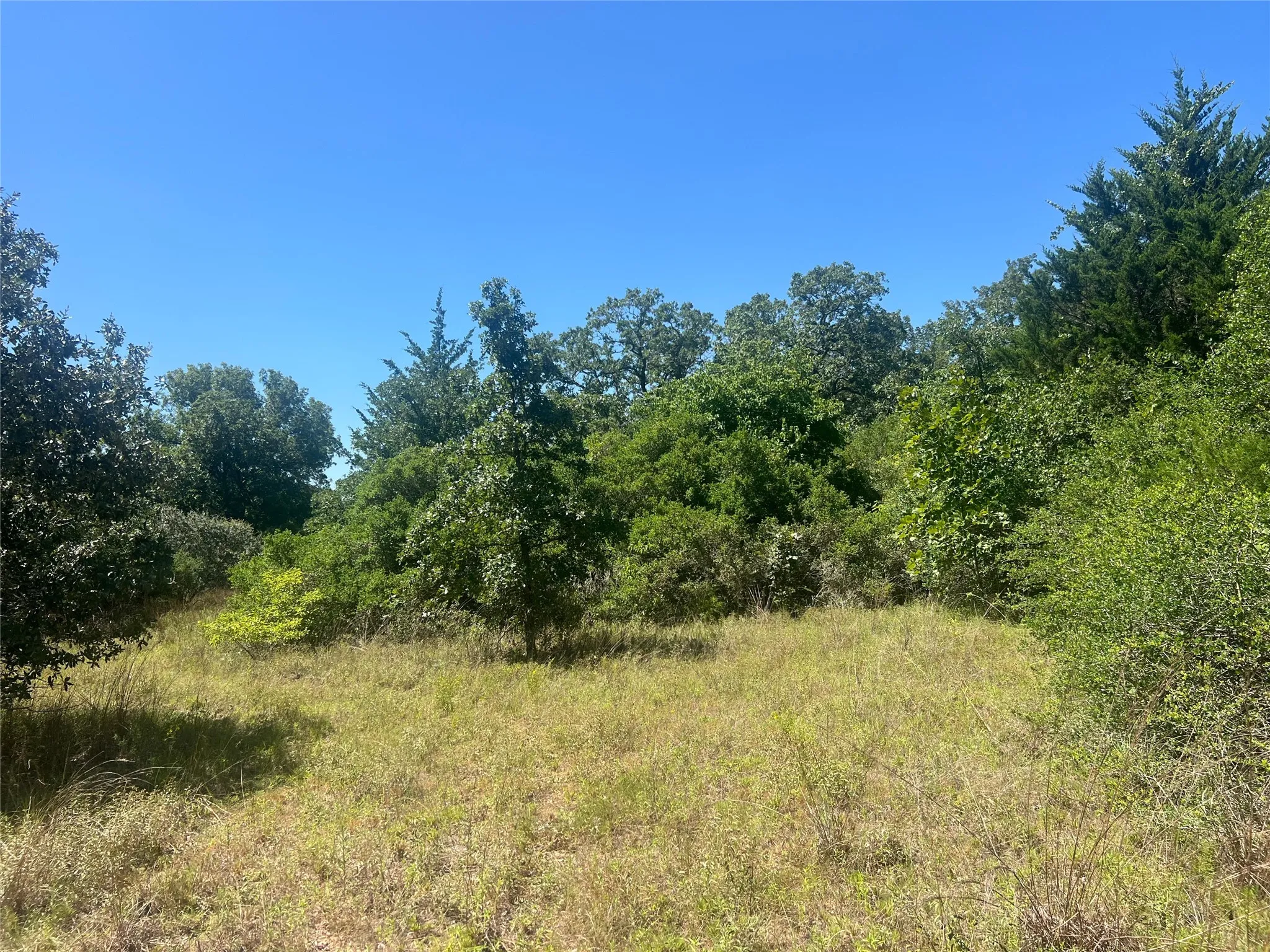 Unimproved Land For Sale in Leon County , 4500 PR, Normangee, Texas 77871, 0, 0, Garage spaces, 0 Sqft, built in 0, Price $395,000, mls#21327539, Real Estate Agent in Normangee, Homes For Sale in Leon county, Homes For Sale in Normangee, Realtor in Normangee Texas, Real Estate Brokerage Independent Realty Texas, Luminita Cordes Realtor