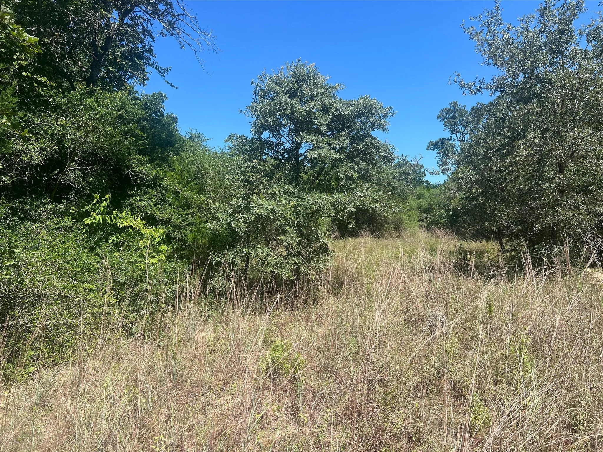 Unimproved Land For Sale in Leon County , 4500 PR, Normangee, Texas 77871, 0, 0, Garage spaces, 0 Sqft, built in 0, Price $395,000, mls#21327539, Real Estate Agent in Normangee, Homes For Sale in Leon county, Homes For Sale in Normangee, Realtor in Normangee Texas, Real Estate Brokerage Independent Realty Texas, Luminita Cordes Realtor