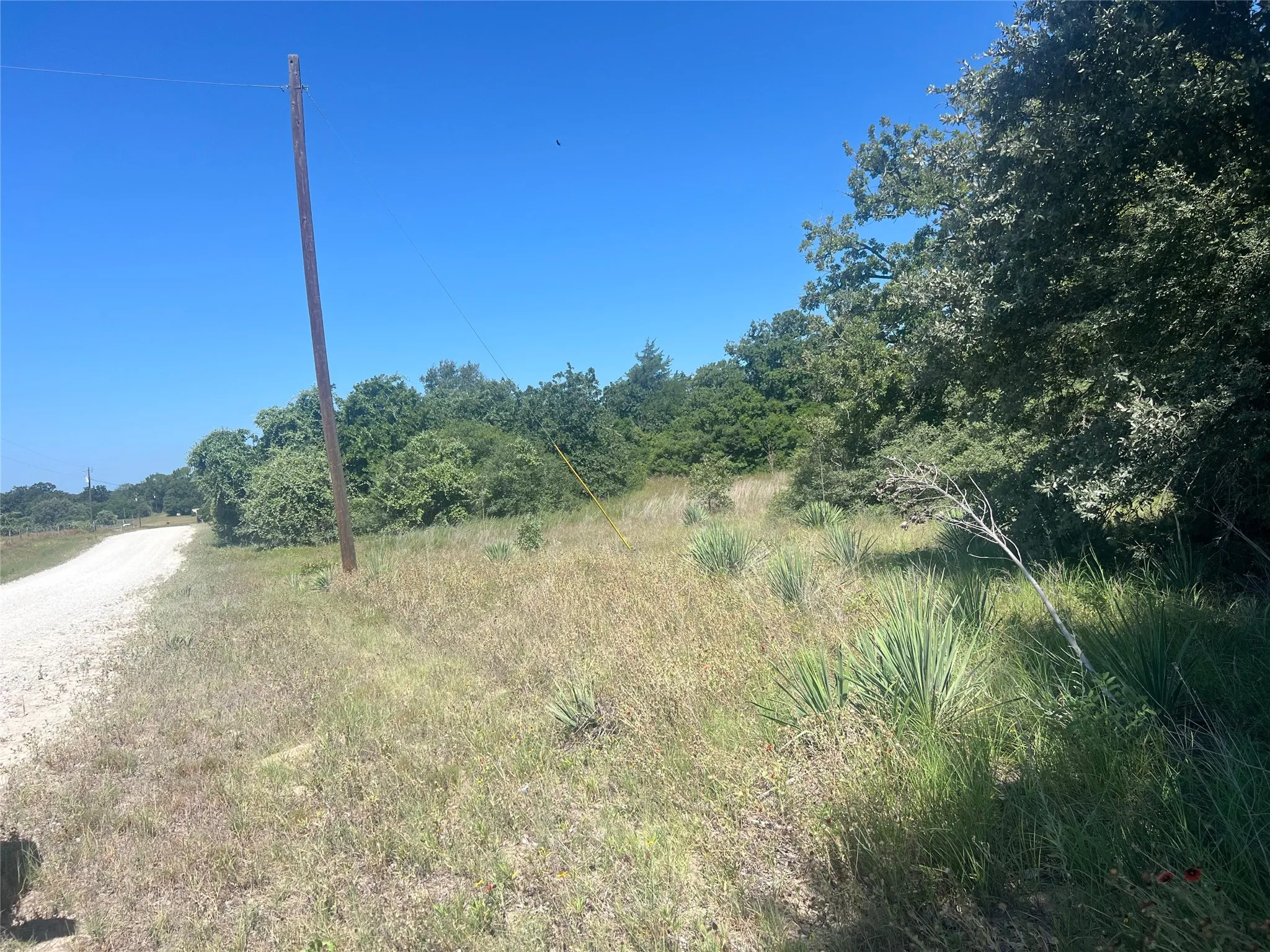 Unimproved Land For Sale in Leon County , 4500 PR, Normangee, Texas 77871, 0, 0, Garage spaces, 0 Sqft, built in 0, Price $395,000, mls#21327539, Real Estate Agent in Normangee, Homes For Sale in Leon county, Homes For Sale in Normangee, Realtor in Normangee Texas, Real Estate Brokerage Independent Realty Texas, Luminita Cordes Realtor