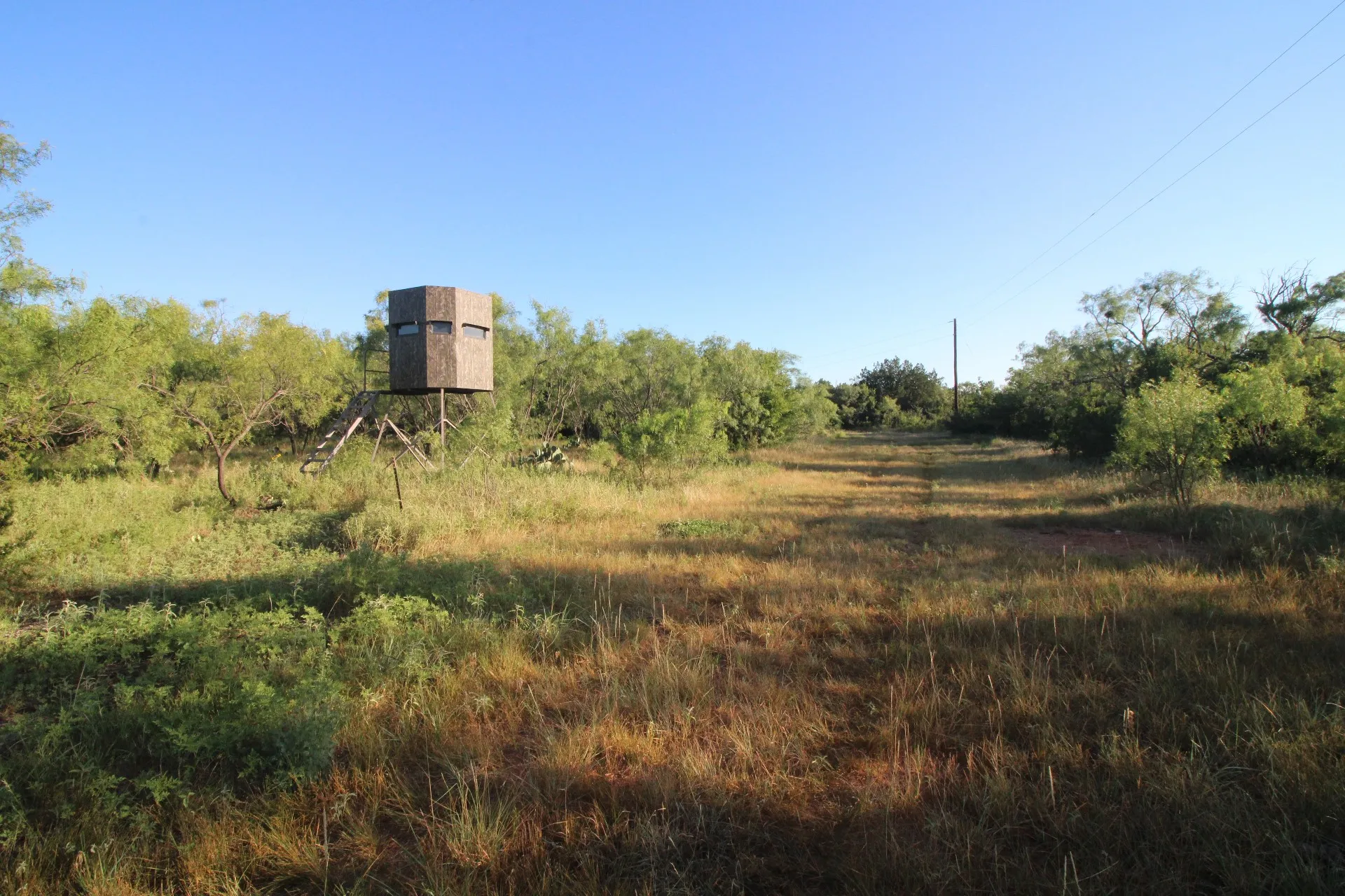 Farm For Sale in Taylor County , 449 CR 194, Ovalo, Texas 79541, 4 Bedroom, 3 Bathroom, 3 Garage spaces, 3,208 Sqft, built in 2024, mls#21327632, Real Estate Agent in Ovalo, Homes For Sale in Taylor county, Homes For Sale in Ovalo, Realtor in Ovalo Texas, Real Estate Brokerage Independent Realty Texas, Luminita Cordes Realtor