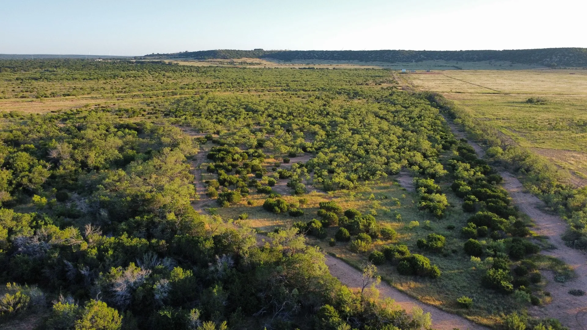 Farm For Sale in Taylor County , 449 CR 194, Ovalo, Texas 79541, 4 Bedroom, 3 Bathroom, 3 Garage spaces, 3,208 Sqft, built in 2024, mls#21327632, Real Estate Agent in Ovalo, Homes For Sale in Taylor county, Homes For Sale in Ovalo, Realtor in Ovalo Texas, Real Estate Brokerage Independent Realty Texas, Luminita Cordes Realtor
