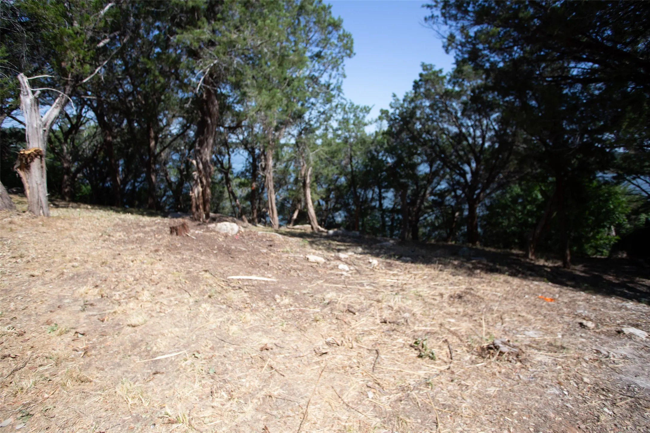 Unimproved Land For Sale in Hood County , 3105 San Gabriel Court, Granbury, Texas 76048, 0, 0, Garage spaces, 0 Sqft, built in 0, mls#21317008, Real Estate Agent in Granbury, Homes For Sale in Hood county, Homes For Sale in Granbury, Realtor in Granbury Texas, Real Estate Brokerage Independent Realty Texas, Luminita Cordes Realtor