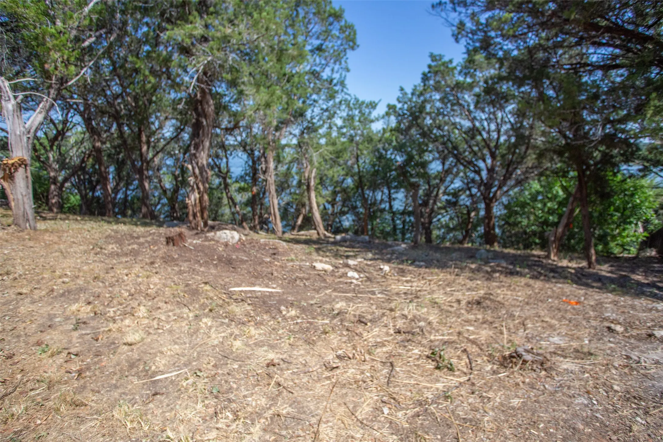 Unimproved Land For Sale in Hood County , 3105 San Gabriel Court, Granbury, Texas 76048, 0, 0, Garage spaces, 0 Sqft, built in 0, mls#21317008, Real Estate Agent in Granbury, Homes For Sale in Hood county, Homes For Sale in Granbury, Realtor in Granbury Texas, Real Estate Brokerage Independent Realty Texas, Luminita Cordes Realtor