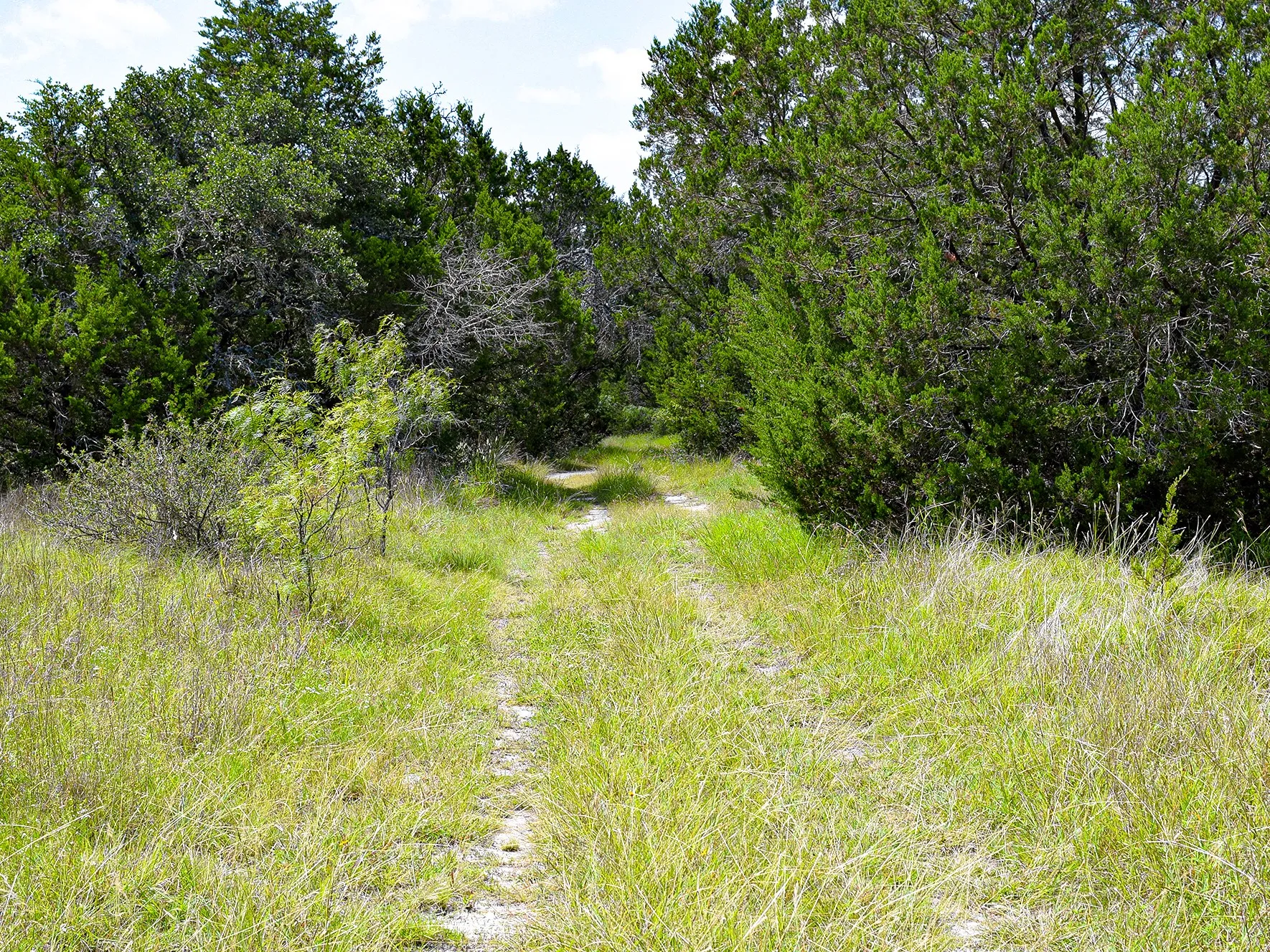 Unimproved Land For Sale in Mills County , 61 County Road 442, Goldthwaite, Texas 76844, 0, 0, Garage spaces, 0 Sqft, built in 0, mls#21324376, Real Estate Agent in Goldthwaite, Homes For Sale in Mills county, Homes For Sale in Goldthwaite, Realtor in Goldthwaite Texas, Real Estate Brokerage Independent Realty Texas, Luminita Cordes Realtor