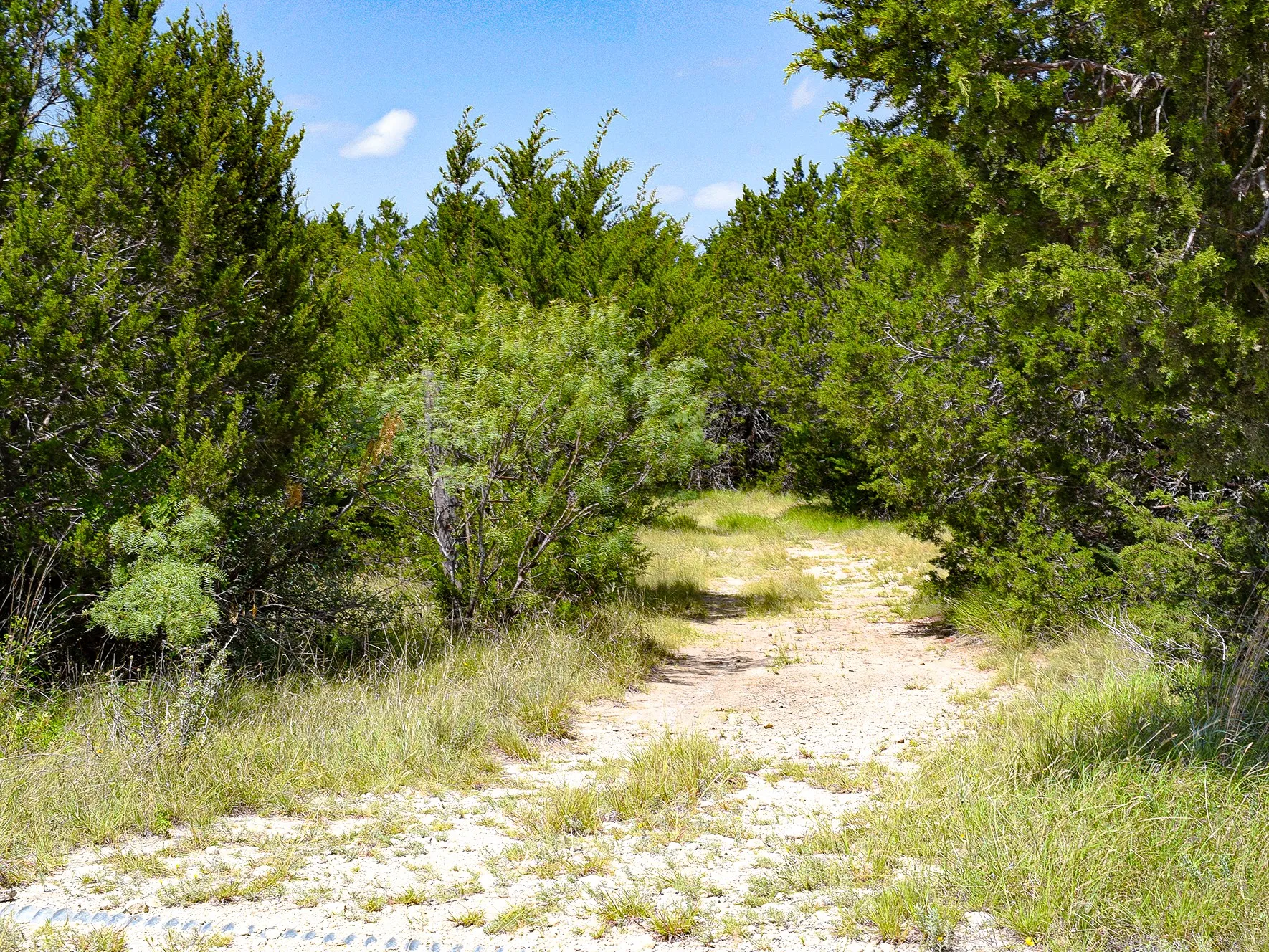 Unimproved Land For Sale in Mills County , Lot 1 61 County Road 442, Goldthwaite, Texas 76844, 0, 0, Garage spaces, 0 Sqft, built in 0, mls#21324371, Real Estate Agent in Goldthwaite, Homes For Sale in Mills county, Homes For Sale in Goldthwaite, Realtor in Goldthwaite Texas, Real Estate Brokerage Independent Realty Texas, Luminita Cordes Realtor
