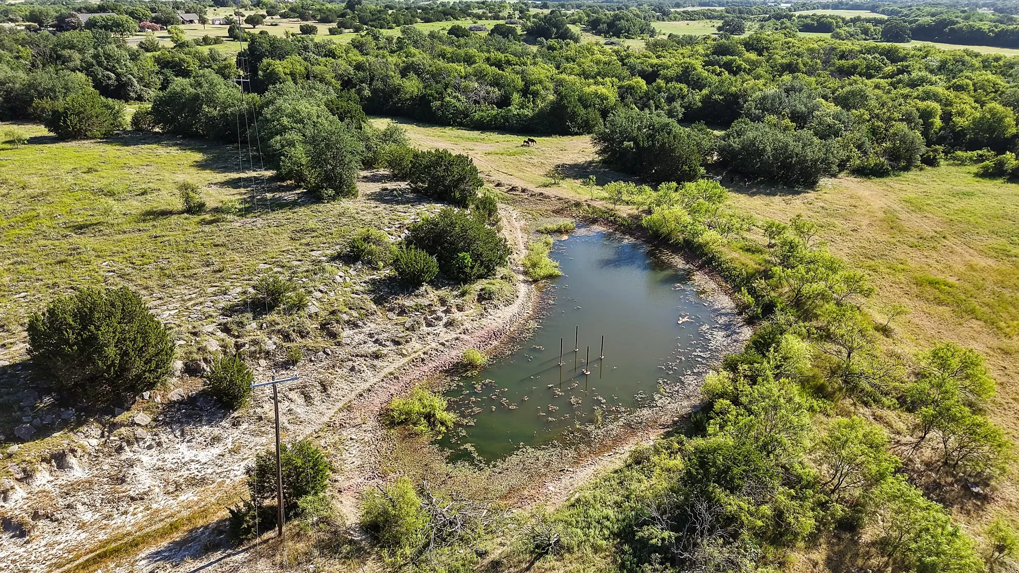 Unimproved Land For Sale in Erath County , 0 Thomas, Dublin, Texas 76446, 0, 0, Garage spaces, 0 Sqft, built in 2010, Price $1,530,000, mls#21327764, Real Estate Agent in Dublin, Homes For Sale in Erath county, Homes For Sale in Dublin, Realtor in Dublin Texas, Real Estate Brokerage Independent Realty Texas, Luminita Cordes Realtor