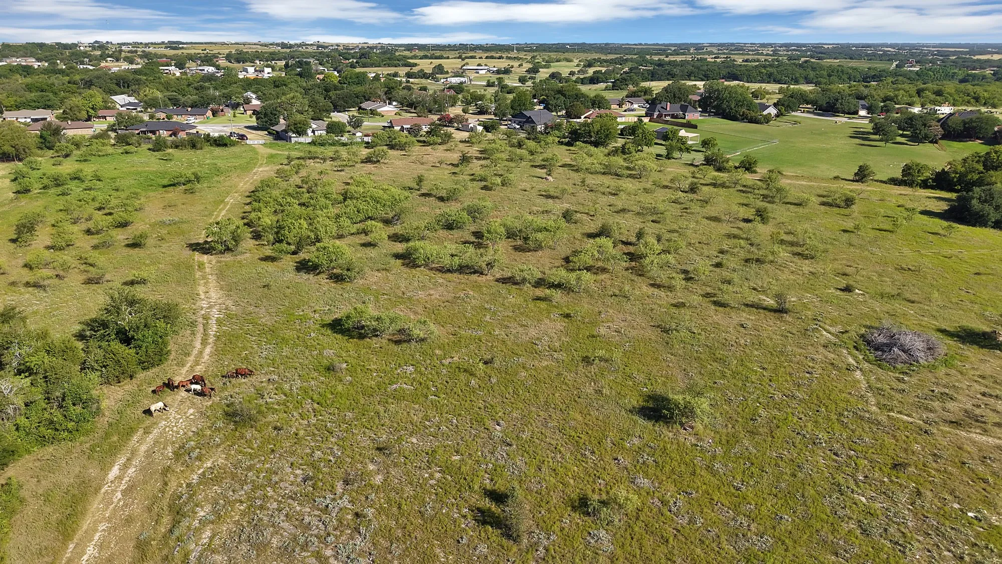 Unimproved Land For Sale in Erath County , 0 Thomas, Dublin, Texas 76446, 0, 0, Garage spaces, 0 Sqft, built in 2010, Price $1,530,000, mls#21327764, Real Estate Agent in Dublin, Homes For Sale in Erath county, Homes For Sale in Dublin, Realtor in Dublin Texas, Real Estate Brokerage Independent Realty Texas, Luminita Cordes Realtor