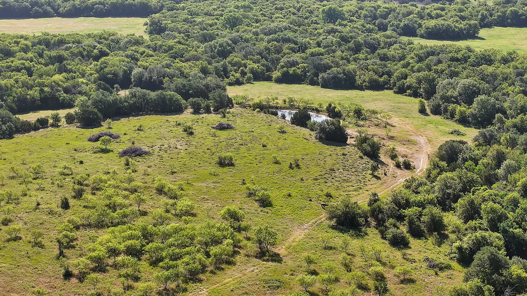Unimproved Land For Sale in Erath County , 0 Thomas, Dublin, Texas 76446, 0, 0, Garage spaces, 0 Sqft, built in 2010, Price $1,530,000, mls#21327764, Real Estate Agent in Dublin, Homes For Sale in Erath county, Homes For Sale in Dublin, Realtor in Dublin Texas, Real Estate Brokerage Independent Realty Texas, Luminita Cordes Realtor
