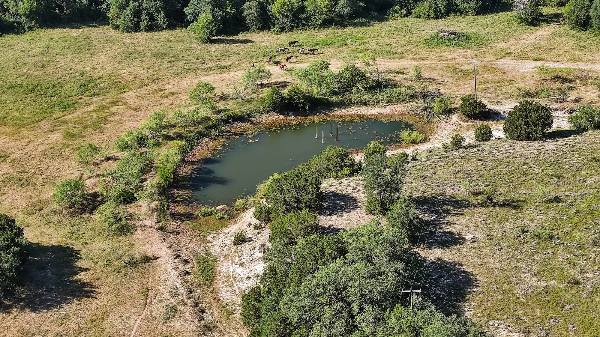 Unimproved Land For Sale in Erath County , 0 Thomas, Dublin, Texas 76446, 0, 0, Garage spaces, 0 Sqft, built in 2010, Price $1,530,000, mls#21327764, Real Estate Agent in Dublin, Homes For Sale in Erath county, Homes For Sale in Dublin, Realtor in Dublin Texas, Real Estate Brokerage Independent Realty Texas, Luminita Cordes Realtor