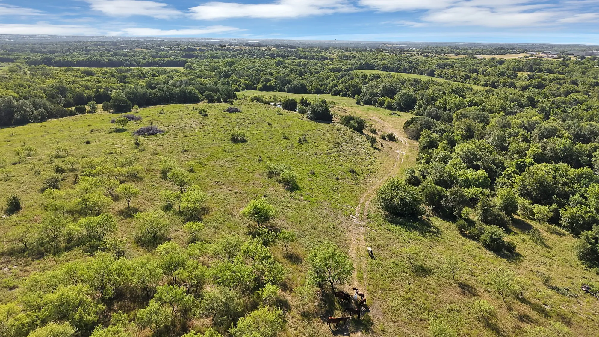 Unimproved Land For Sale in Erath County , 0 Thomas, Dublin, Texas 76446, 0, 0, Garage spaces, 0 Sqft, built in 2010, Price $1,530,000, mls#21327764, Real Estate Agent in Dublin, Homes For Sale in Erath county, Homes For Sale in Dublin, Realtor in Dublin Texas, Real Estate Brokerage Independent Realty Texas, Luminita Cordes Realtor