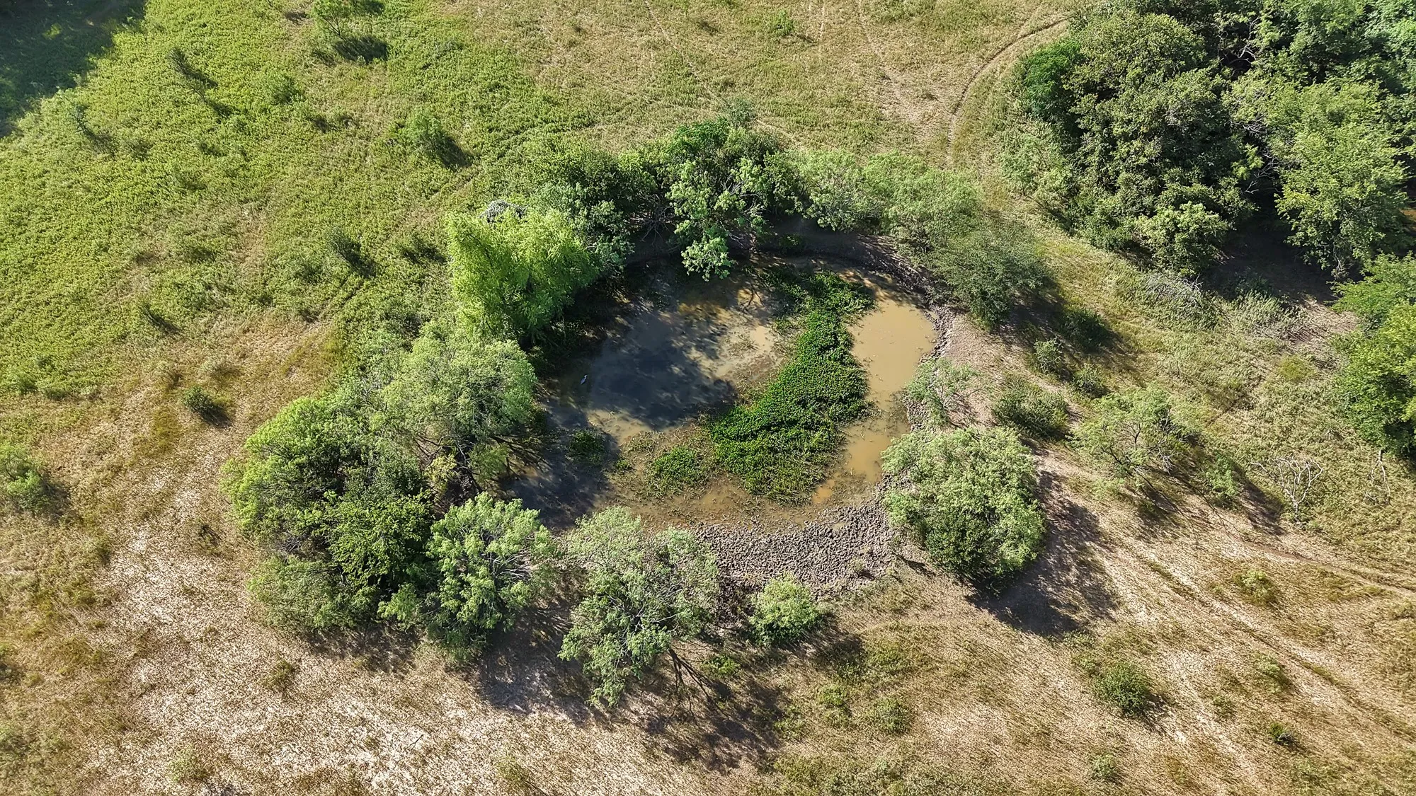 Unimproved Land For Sale in Erath County , 0 Thomas, Dublin, Texas 76446, 0, 0, Garage spaces, 0 Sqft, built in 2010, Price $1,530,000, mls#21327764, Real Estate Agent in Dublin, Homes For Sale in Erath county, Homes For Sale in Dublin, Realtor in Dublin Texas, Real Estate Brokerage Independent Realty Texas, Luminita Cordes Realtor