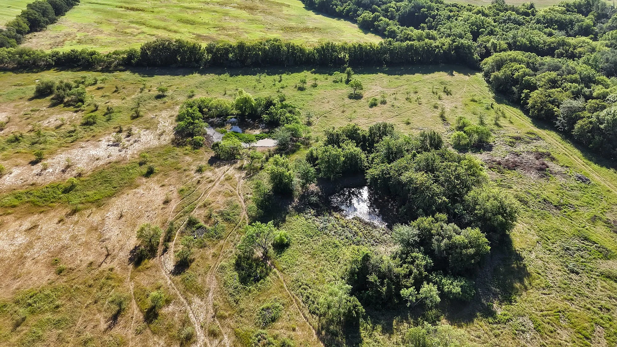 Unimproved Land For Sale in Erath County , 0 Thomas, Dublin, Texas 76446, 0, 0, Garage spaces, 0 Sqft, built in 2010, Price $1,530,000, mls#21327764, Real Estate Agent in Dublin, Homes For Sale in Erath county, Homes For Sale in Dublin, Realtor in Dublin Texas, Real Estate Brokerage Independent Realty Texas, Luminita Cordes Realtor