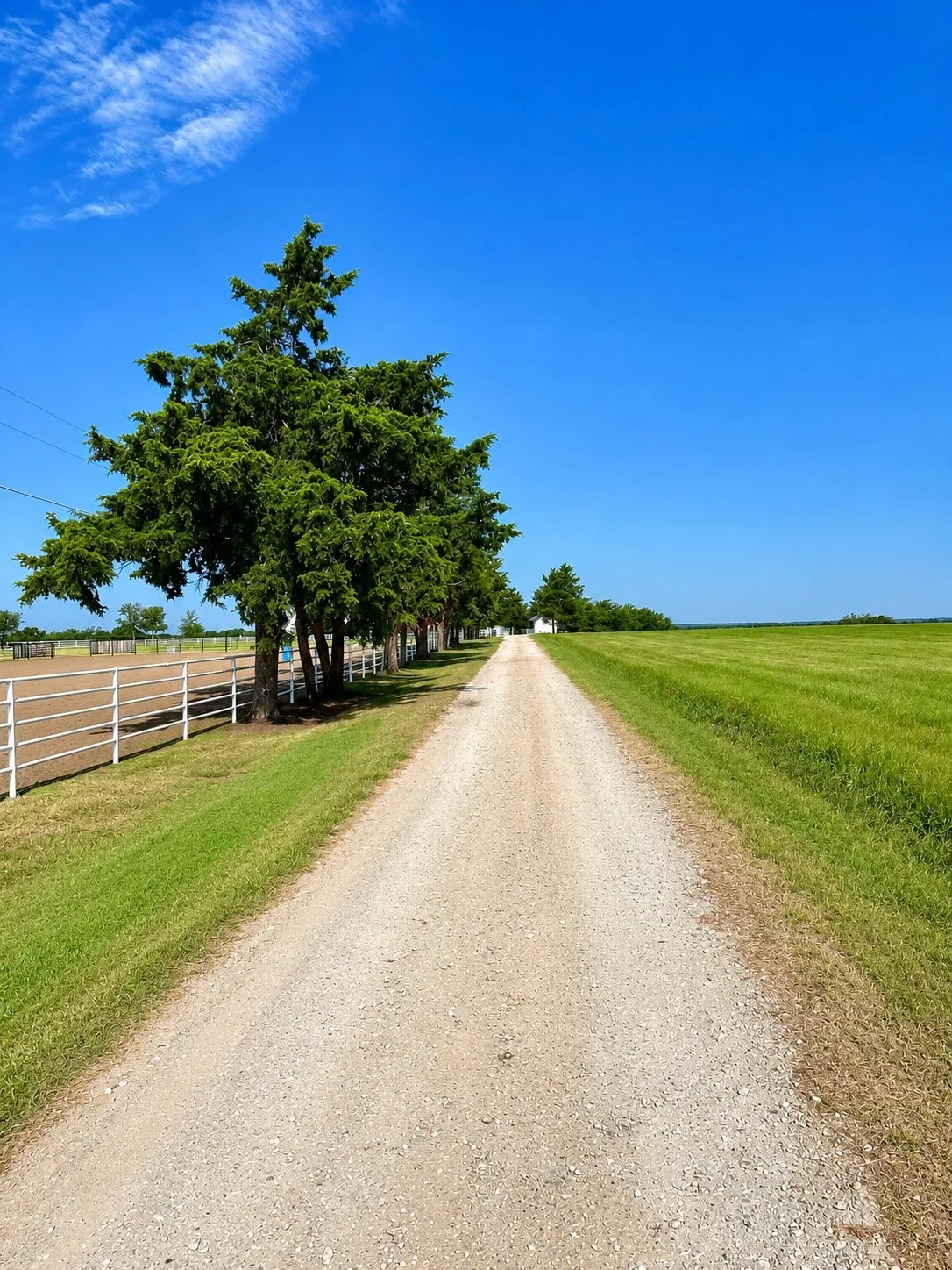 Long gravel driveway with surrounding green lawns and mature trees