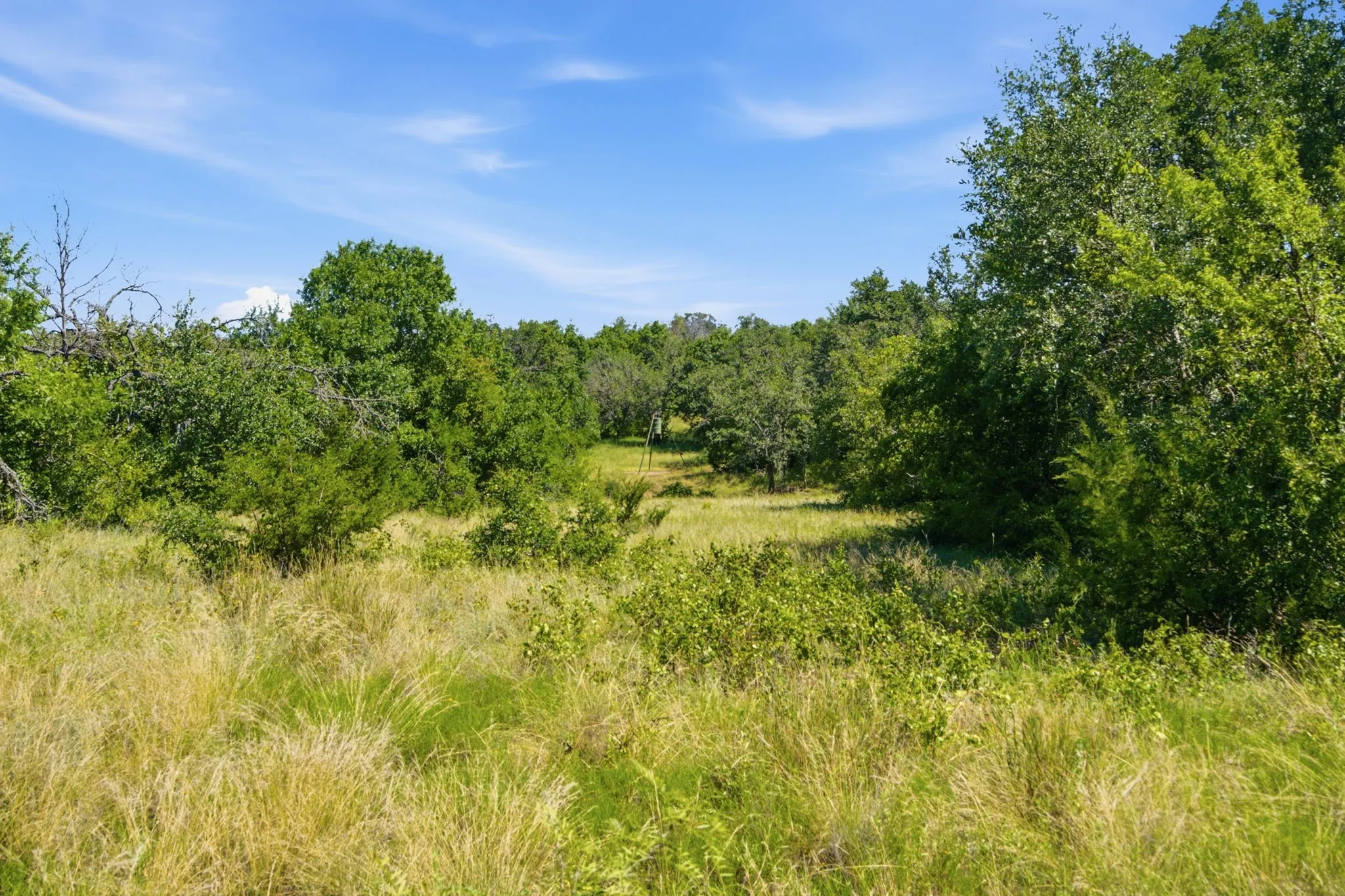 Farm For Sale in Hamilton County , 2975 N Fm 1702, Hamilton, Texas 76531, 5 Bedroom, 3 Bathroom, Garage spaces, 2,744 Sqft, built in 2010, mls#21327344, Real Estate Agent in Hamilton, Homes For Sale in Hamilton county, Homes For Sale in Hamilton, Realtor in Hamilton Texas, Real Estate Brokerage Independent Realty Texas, Luminita Cordes Realtor