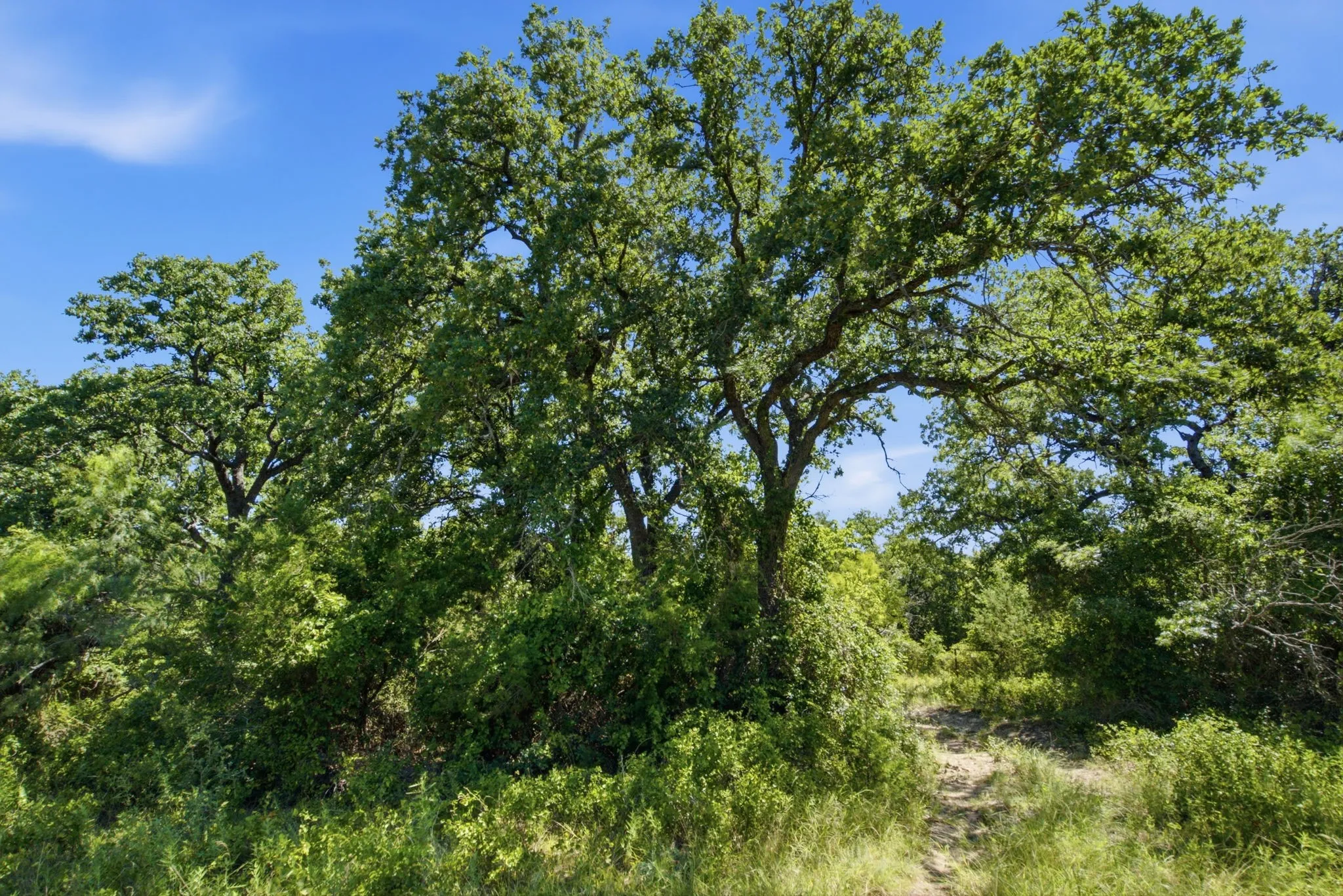 Farm For Sale in Hamilton County , 2975 N Fm 1702, Hamilton, Texas 76531, 5 Bedroom, 3 Bathroom, Garage spaces, 2,744 Sqft, built in 2010, mls#21327344, Real Estate Agent in Hamilton, Homes For Sale in Hamilton county, Homes For Sale in Hamilton, Realtor in Hamilton Texas, Real Estate Brokerage Independent Realty Texas, Luminita Cordes Realtor