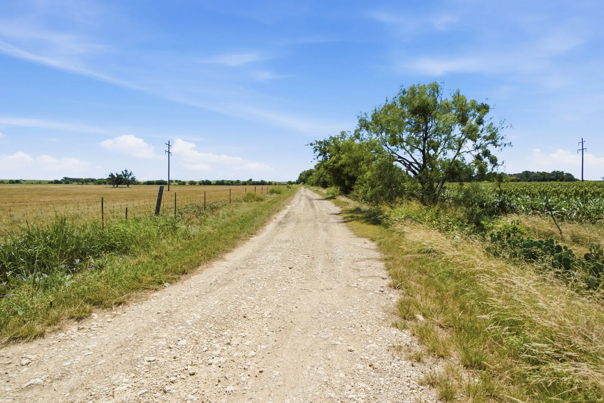 Farm For Sale in Hamilton County , 2975 N Fm 1702, Hamilton, Texas 76531, 5 Bedroom, 3 Bathroom, Garage spaces, 2,744 Sqft, built in 2010, mls#21327344, Real Estate Agent in Hamilton, Homes For Sale in Hamilton county, Homes For Sale in Hamilton, Realtor in Hamilton Texas, Real Estate Brokerage Independent Realty Texas, Luminita Cordes Realtor