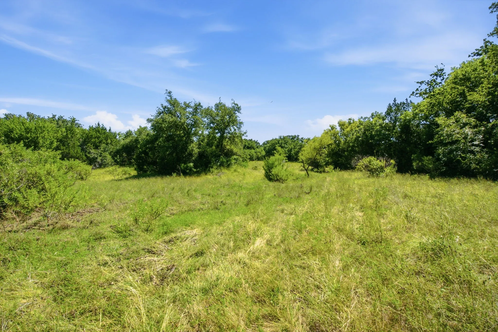 Farm For Sale in Hamilton County , 2975 N Fm 1702, Hamilton, Texas 76531, 5 Bedroom, 3 Bathroom, Garage spaces, 2,744 Sqft, built in 2010, mls#21327344, Real Estate Agent in Hamilton, Homes For Sale in Hamilton county, Homes For Sale in Hamilton, Realtor in Hamilton Texas, Real Estate Brokerage Independent Realty Texas, Luminita Cordes Realtor