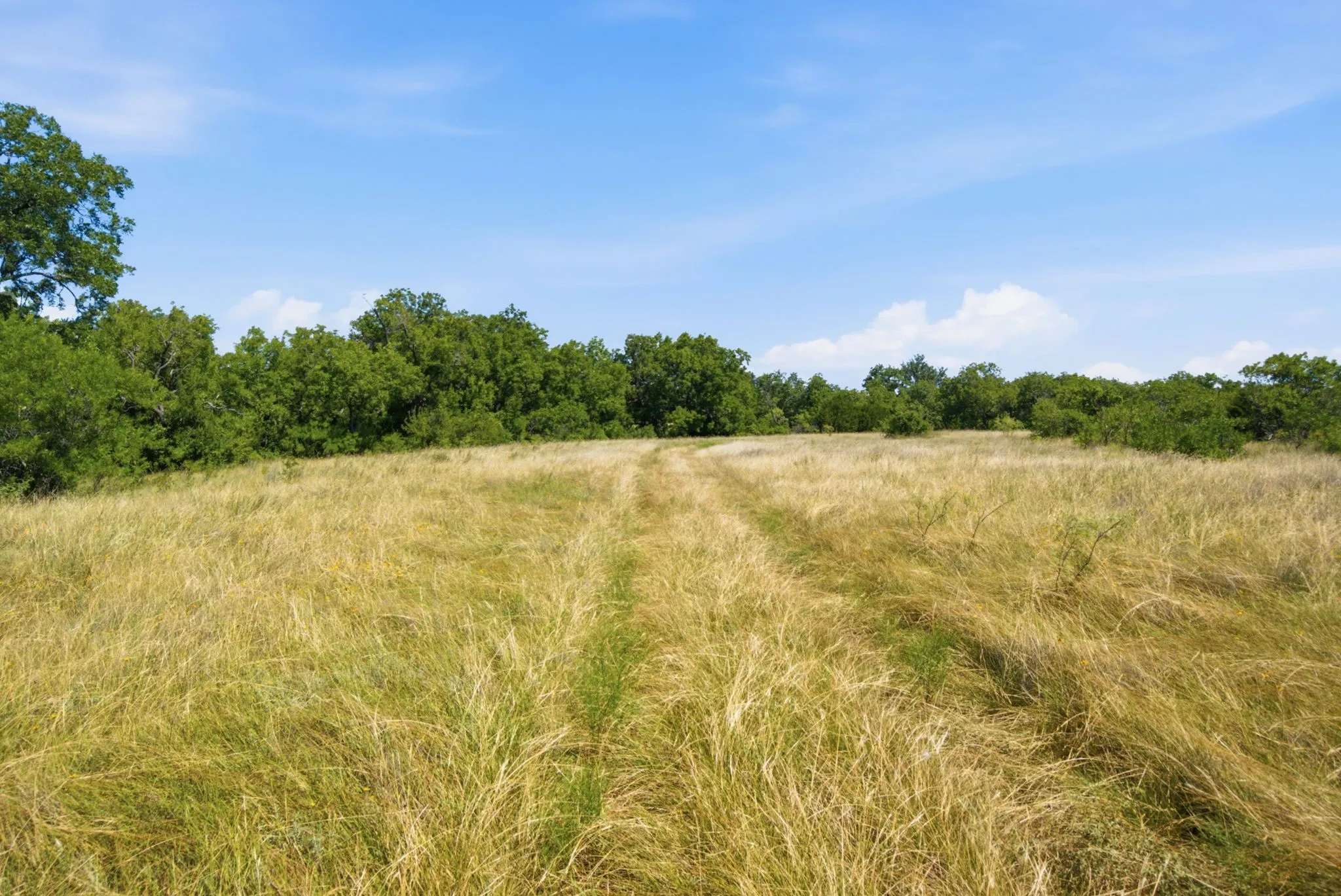 Farm For Sale in Hamilton County , 2975 N Fm 1702, Hamilton, Texas 76531, 5 Bedroom, 3 Bathroom, Garage spaces, 2,744 Sqft, built in 2010, mls#21327344, Real Estate Agent in Hamilton, Homes For Sale in Hamilton county, Homes For Sale in Hamilton, Realtor in Hamilton Texas, Real Estate Brokerage Independent Realty Texas, Luminita Cordes Realtor