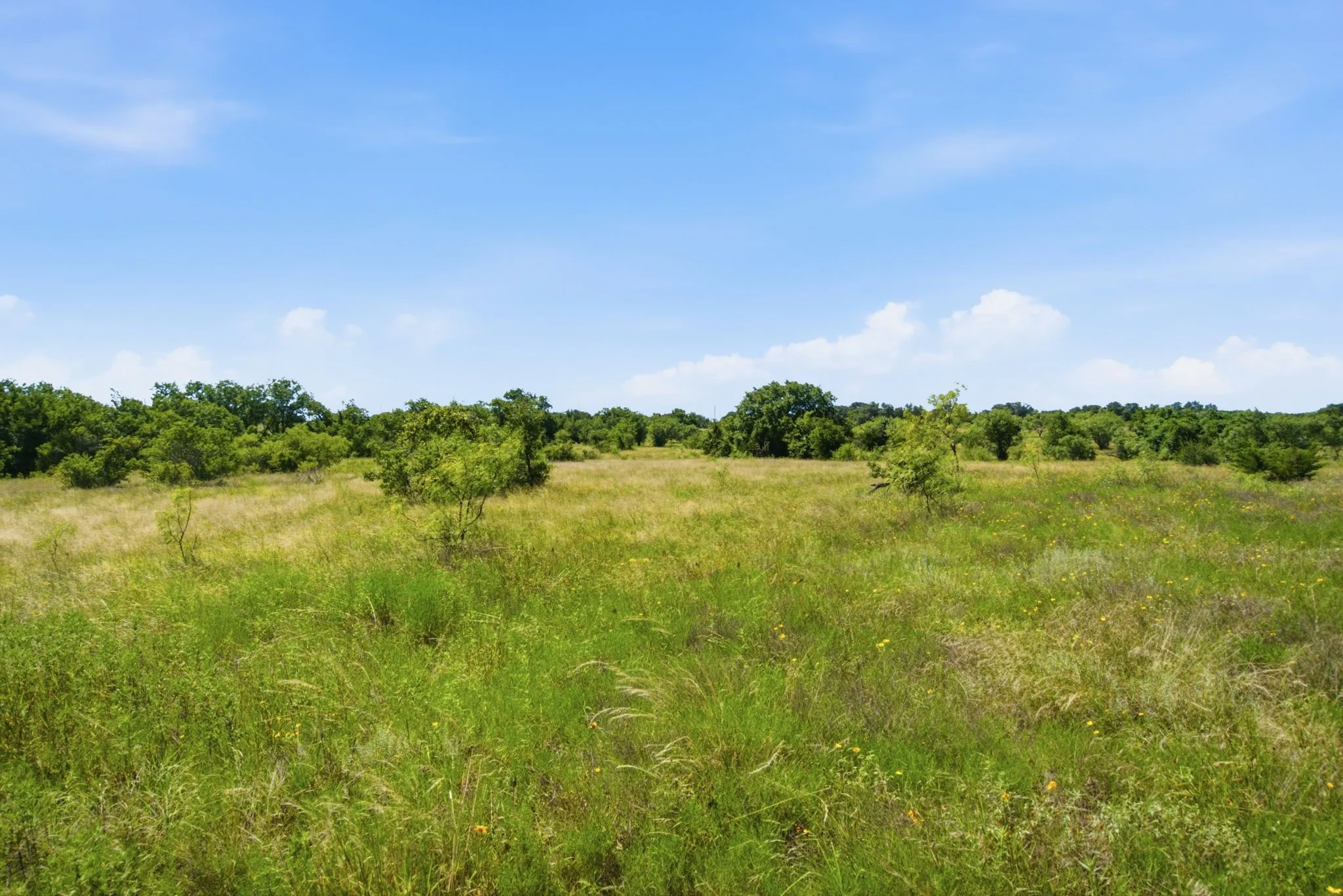 Farm For Sale in Hamilton County , 2975 N Fm 1702, Hamilton, Texas 76531, 5 Bedroom, 3 Bathroom, Garage spaces, 2,744 Sqft, built in 2010, mls#21327344, Real Estate Agent in Hamilton, Homes For Sale in Hamilton county, Homes For Sale in Hamilton, Realtor in Hamilton Texas, Real Estate Brokerage Independent Realty Texas, Luminita Cordes Realtor