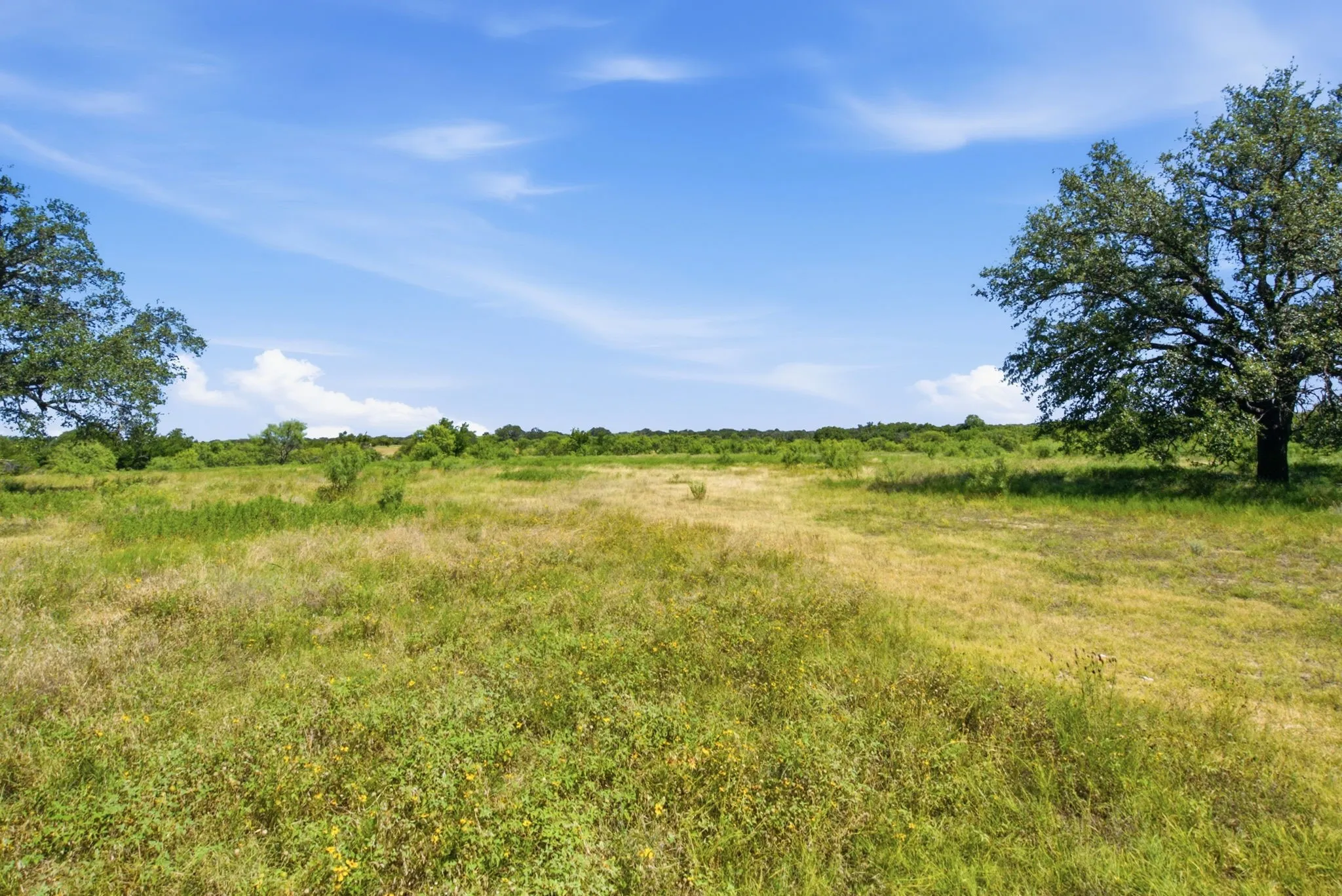 Farm For Sale in Hamilton County , 2975 N Fm 1702, Hamilton, Texas 76531, 5 Bedroom, 3 Bathroom, Garage spaces, 2,744 Sqft, built in 2010, mls#21327344, Real Estate Agent in Hamilton, Homes For Sale in Hamilton county, Homes For Sale in Hamilton, Realtor in Hamilton Texas, Real Estate Brokerage Independent Realty Texas, Luminita Cordes Realtor