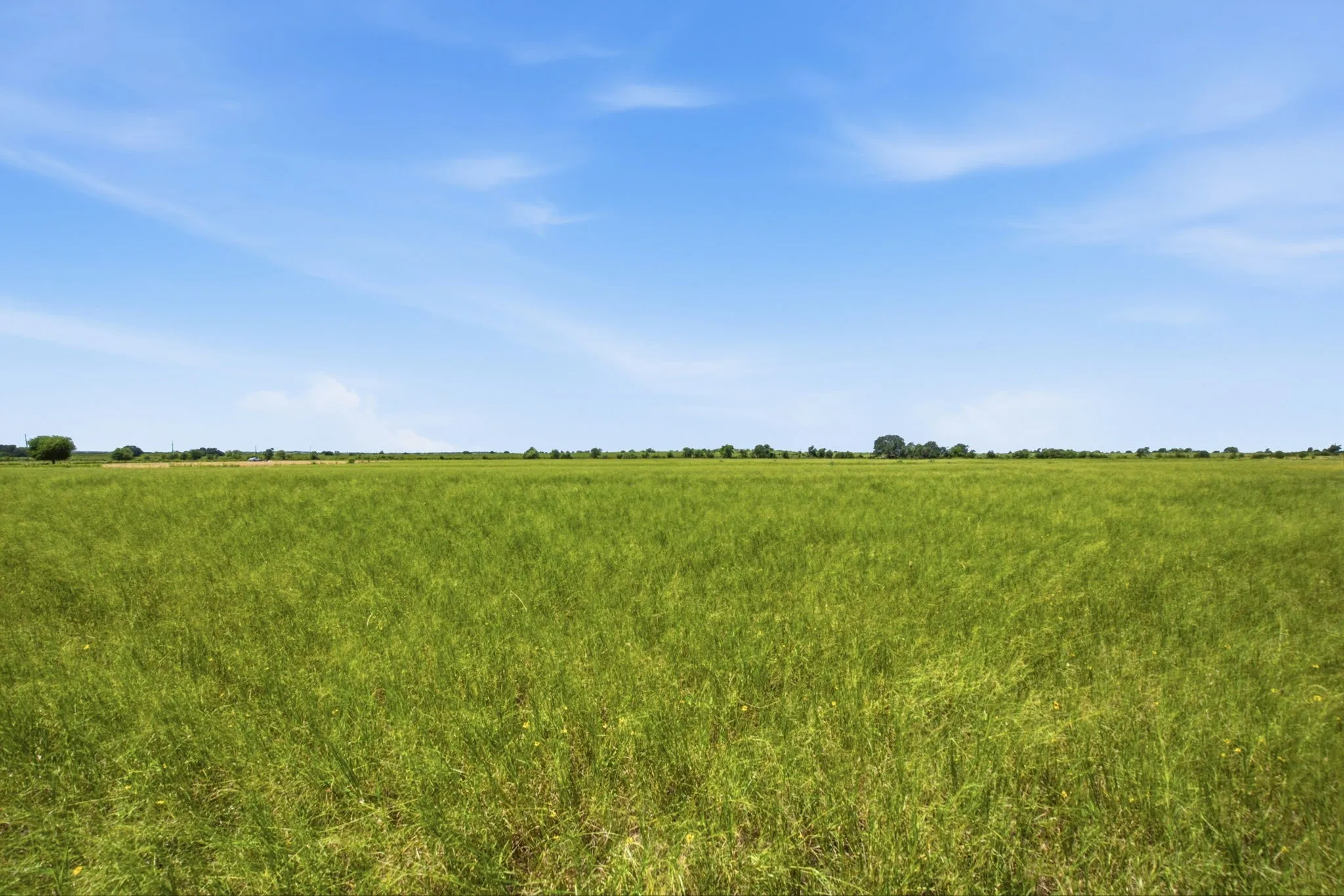 Farm For Sale in Hamilton County , 2975 N Fm 1702, Hamilton, Texas 76531, 5 Bedroom, 3 Bathroom, Garage spaces, 2,744 Sqft, built in 2010, mls#21327344, Real Estate Agent in Hamilton, Homes For Sale in Hamilton county, Homes For Sale in Hamilton, Realtor in Hamilton Texas, Real Estate Brokerage Independent Realty Texas, Luminita Cordes Realtor