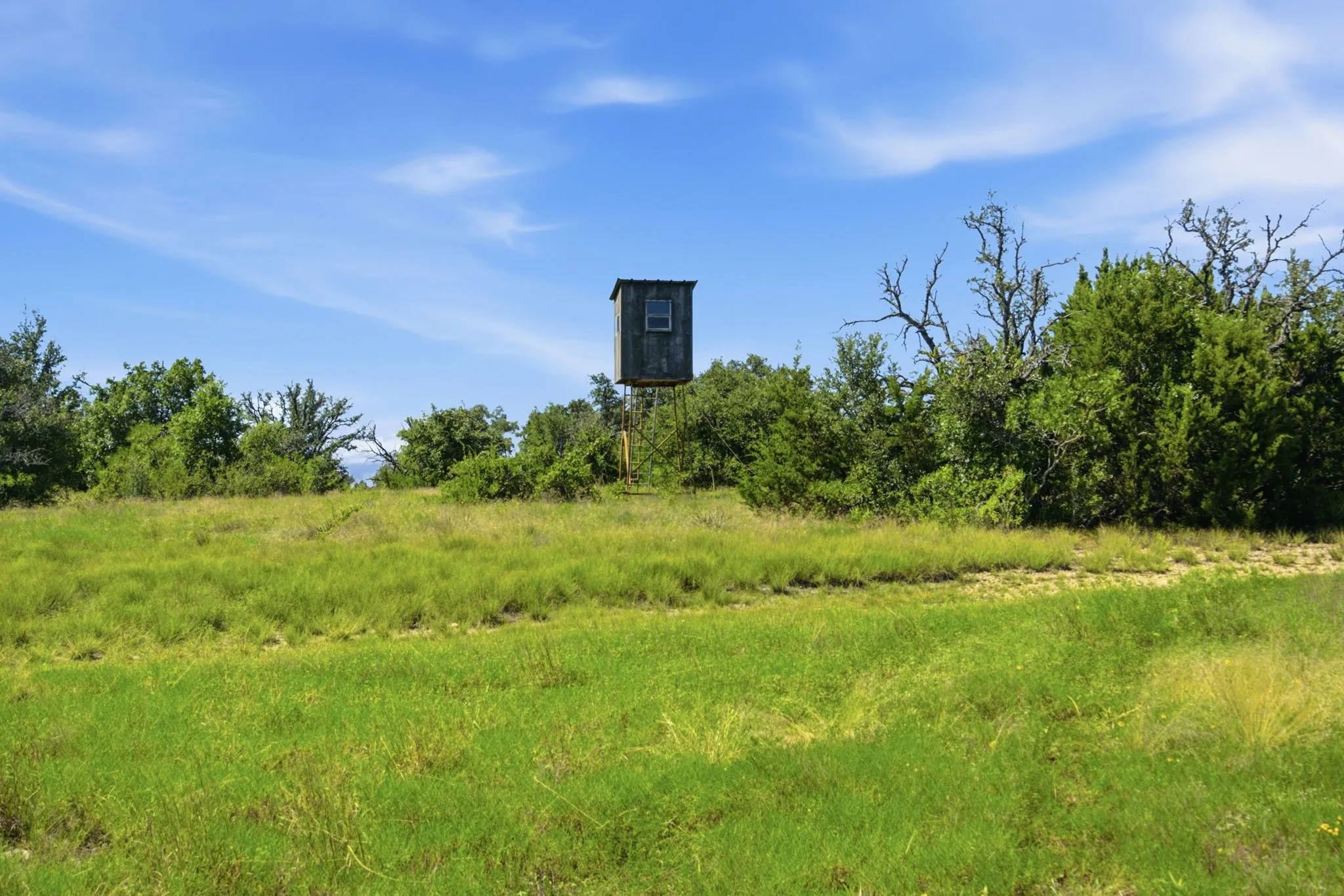 Farm For Sale in Hamilton County , 2975 N Fm 1702, Hamilton, Texas 76531, 5 Bedroom, 3 Bathroom, Garage spaces, 2,744 Sqft, built in 2010, mls#21327344, Real Estate Agent in Hamilton, Homes For Sale in Hamilton county, Homes For Sale in Hamilton, Realtor in Hamilton Texas, Real Estate Brokerage Independent Realty Texas, Luminita Cordes Realtor