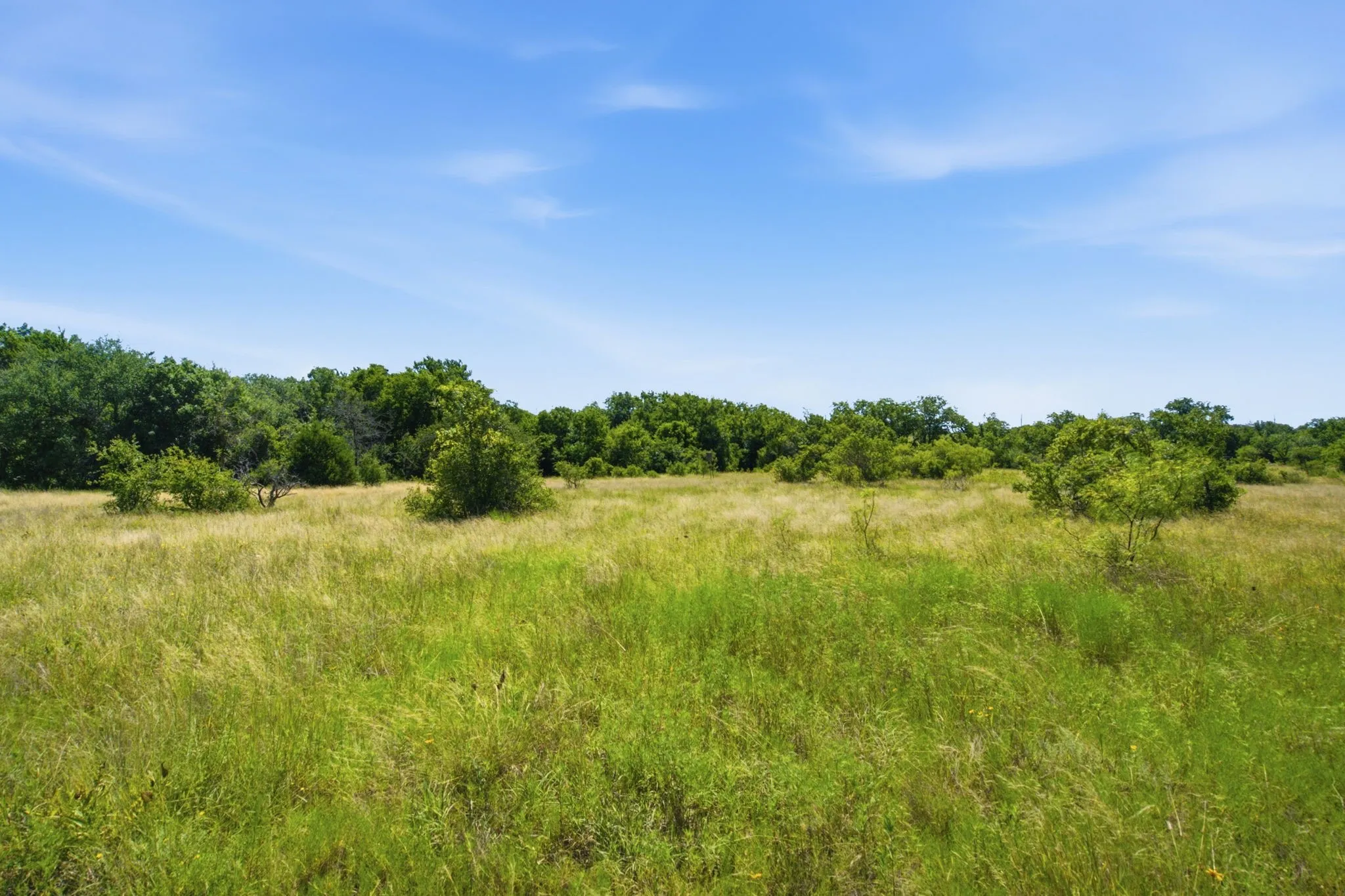 Farm For Sale in Hamilton County , 2975 N Fm 1702, Hamilton, Texas 76531, 5 Bedroom, 3 Bathroom, Garage spaces, 2,744 Sqft, built in 2010, mls#21327344, Real Estate Agent in Hamilton, Homes For Sale in Hamilton county, Homes For Sale in Hamilton, Realtor in Hamilton Texas, Real Estate Brokerage Independent Realty Texas, Luminita Cordes Realtor