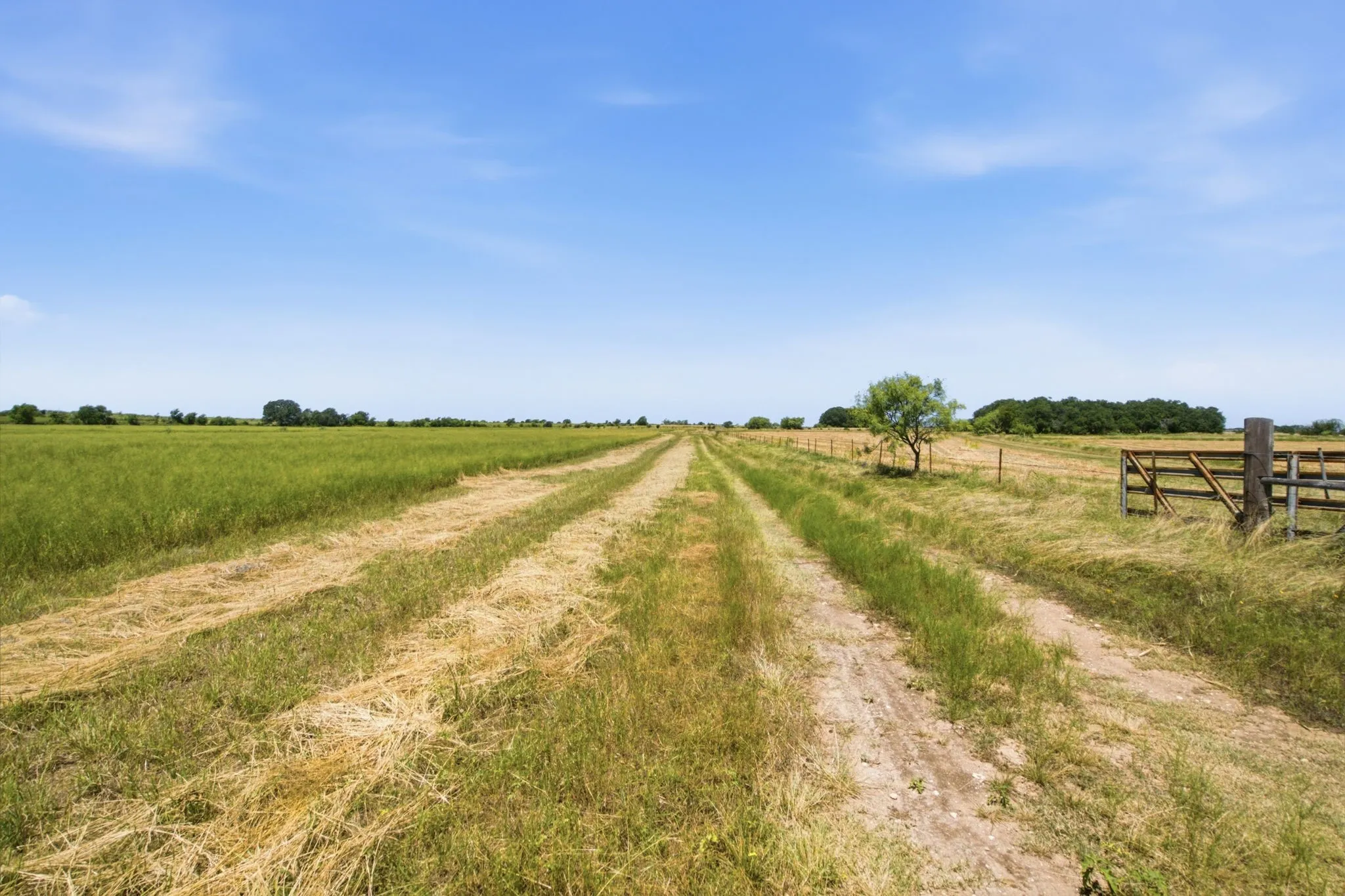 Farm For Sale in Hamilton County , 2975 N Fm 1702, Hamilton, Texas 76531, 5 Bedroom, 3 Bathroom, Garage spaces, 2,744 Sqft, built in 2010, mls#21327344, Real Estate Agent in Hamilton, Homes For Sale in Hamilton county, Homes For Sale in Hamilton, Realtor in Hamilton Texas, Real Estate Brokerage Independent Realty Texas, Luminita Cordes Realtor