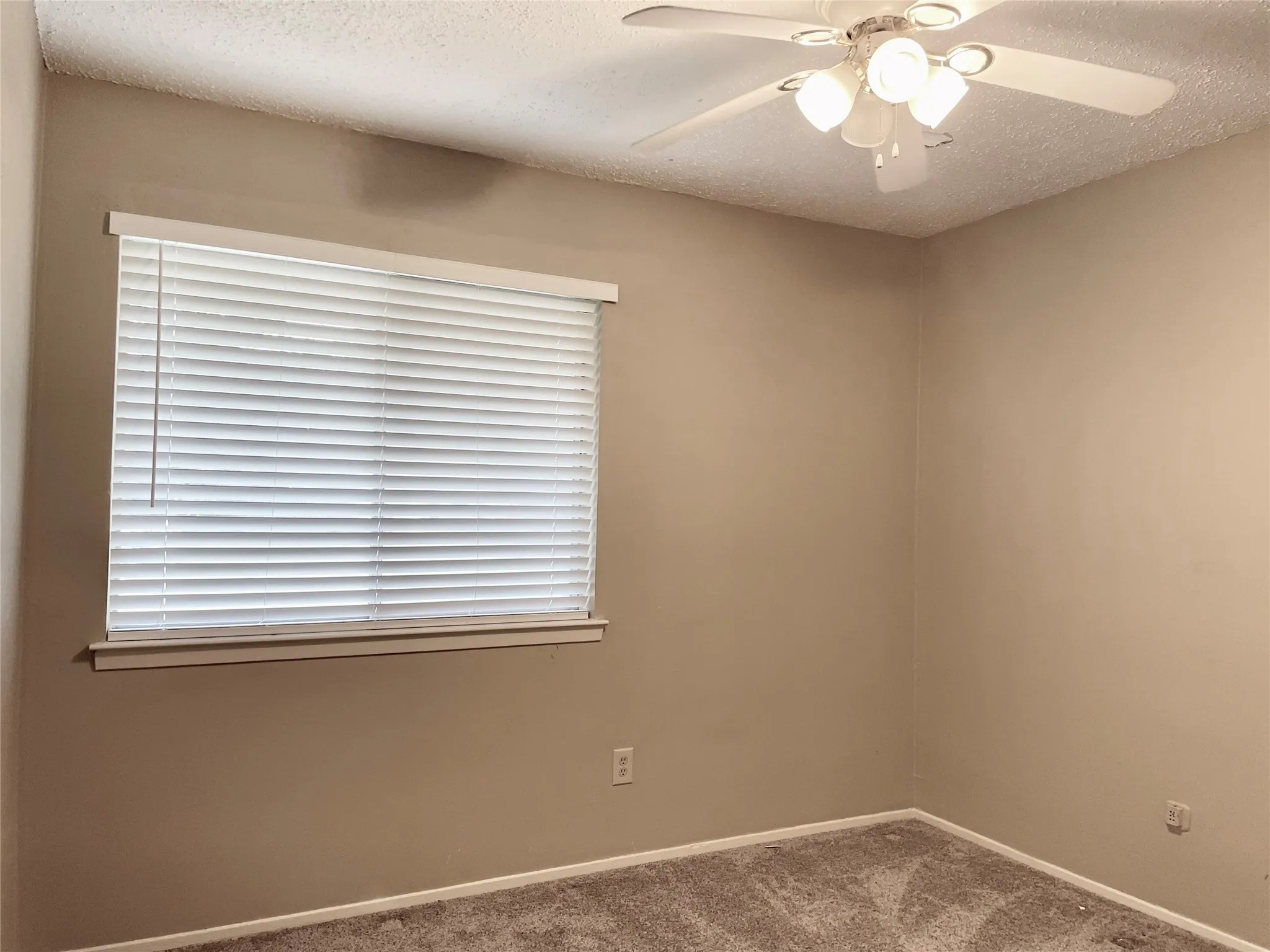 Unfurnished room with carpet flooring, a textured ceiling, and ceiling fan