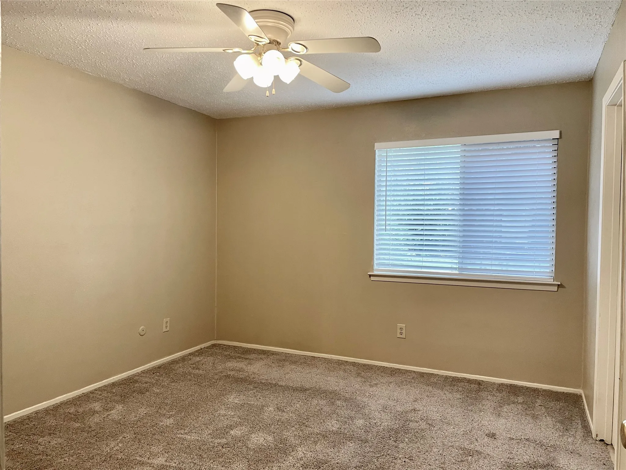 Spare room with carpet floors, ceiling fan, and a textured ceiling