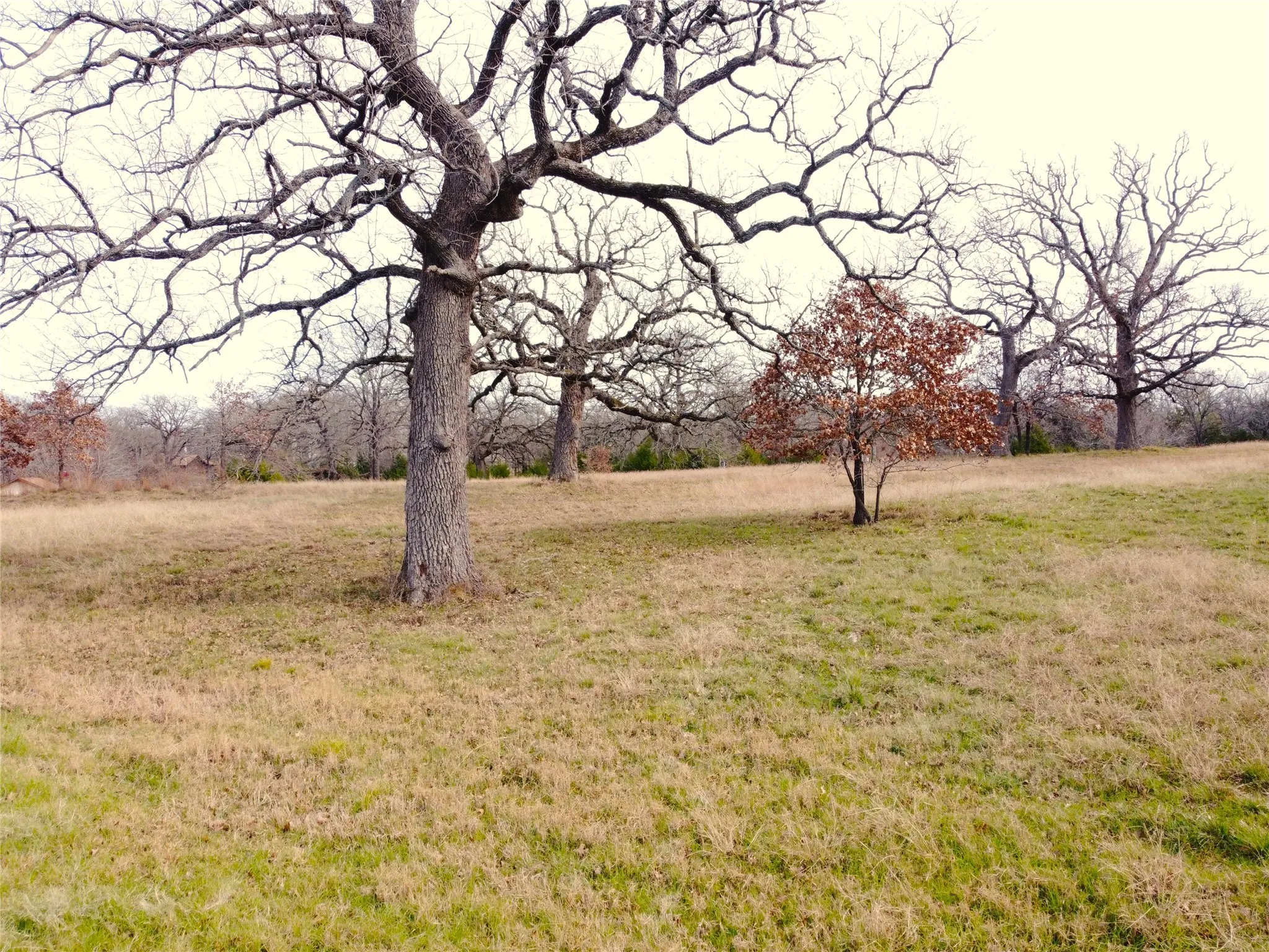 Unimproved Land For Sale in Navarro County , 14022 Whatley Drive, Streetman, Texas 75859, 0, 0, Garage spaces, 0 Sqft, built in 0, Price $275,000, mls#21327870, Real Estate Agent in Streetman, Homes For Sale in Navarro county, Homes For Sale in Streetman, Realtor in Streetman Texas, Real Estate Brokerage Independent Realty Texas, Luminita Cordes Realtor