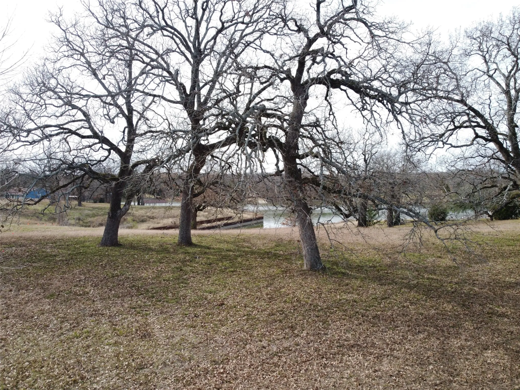 Unimproved Land For Sale in Navarro County , 14022 Whatley Drive, Streetman, Texas 75859, 0, 0, Garage spaces, 0 Sqft, built in 0, Price $275,000, mls#21327870, Real Estate Agent in Streetman, Homes For Sale in Navarro county, Homes For Sale in Streetman, Realtor in Streetman Texas, Real Estate Brokerage Independent Realty Texas, Luminita Cordes Realtor