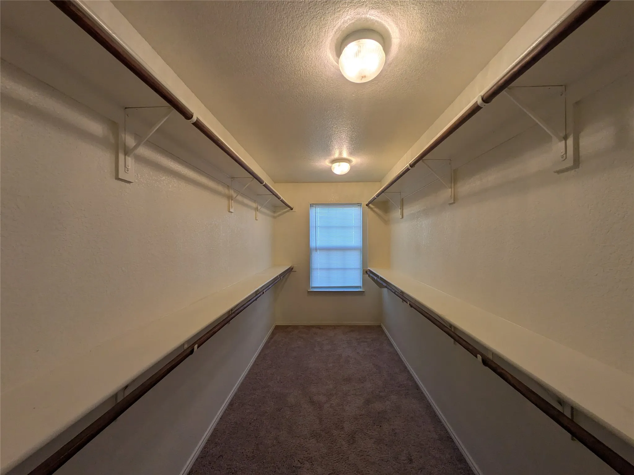 Spacious closet with dark colored carpet
